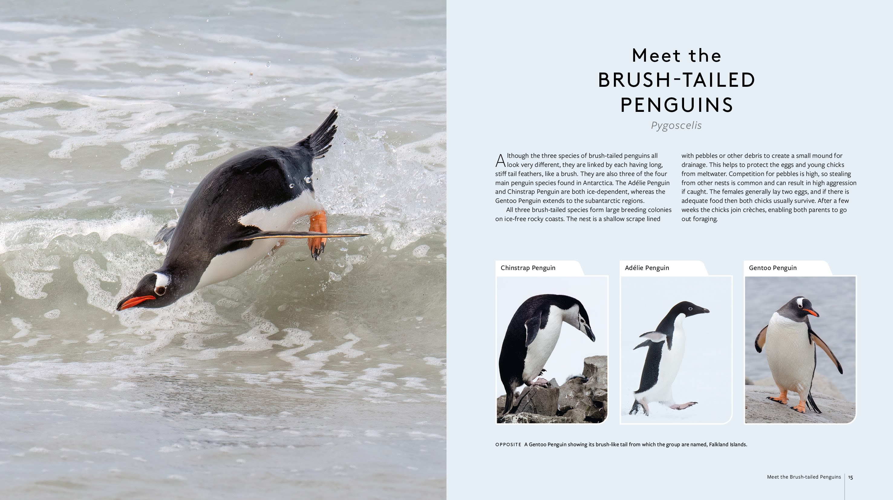 Page Spread