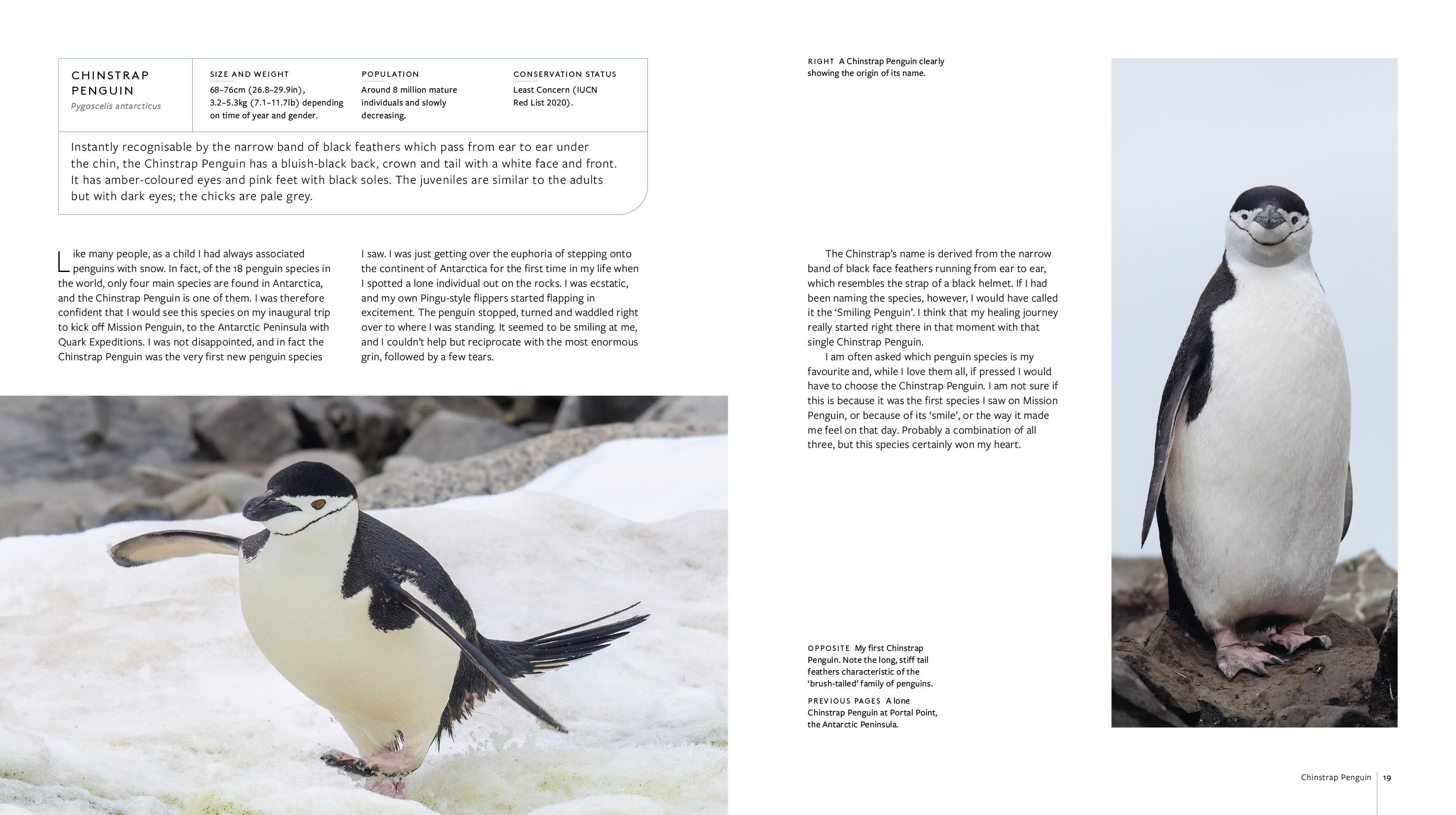 Page Spread