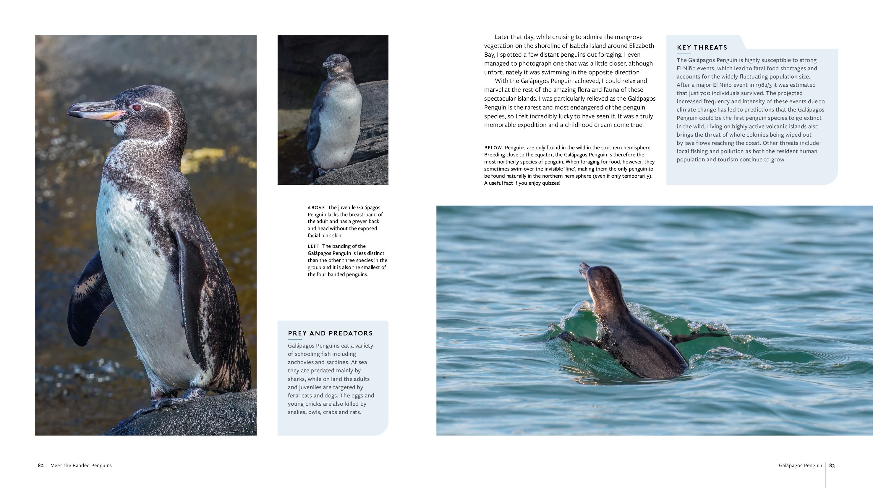 Page Spread
