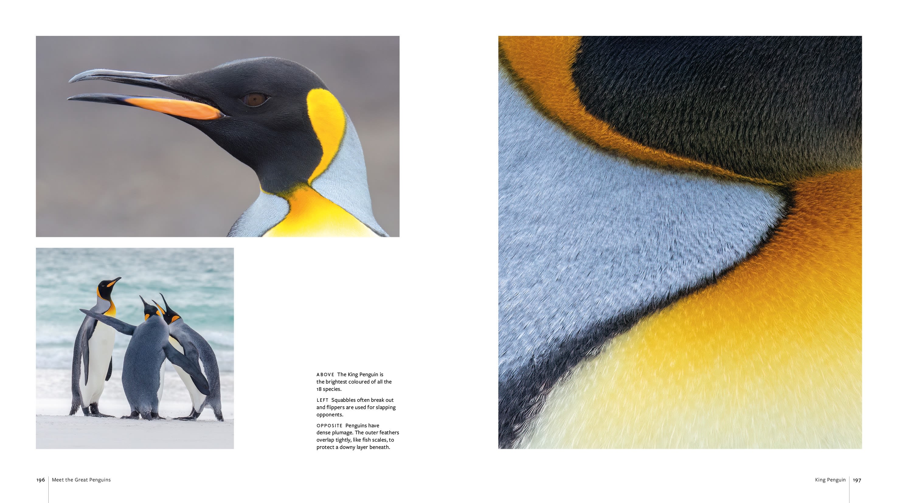 Page Spread