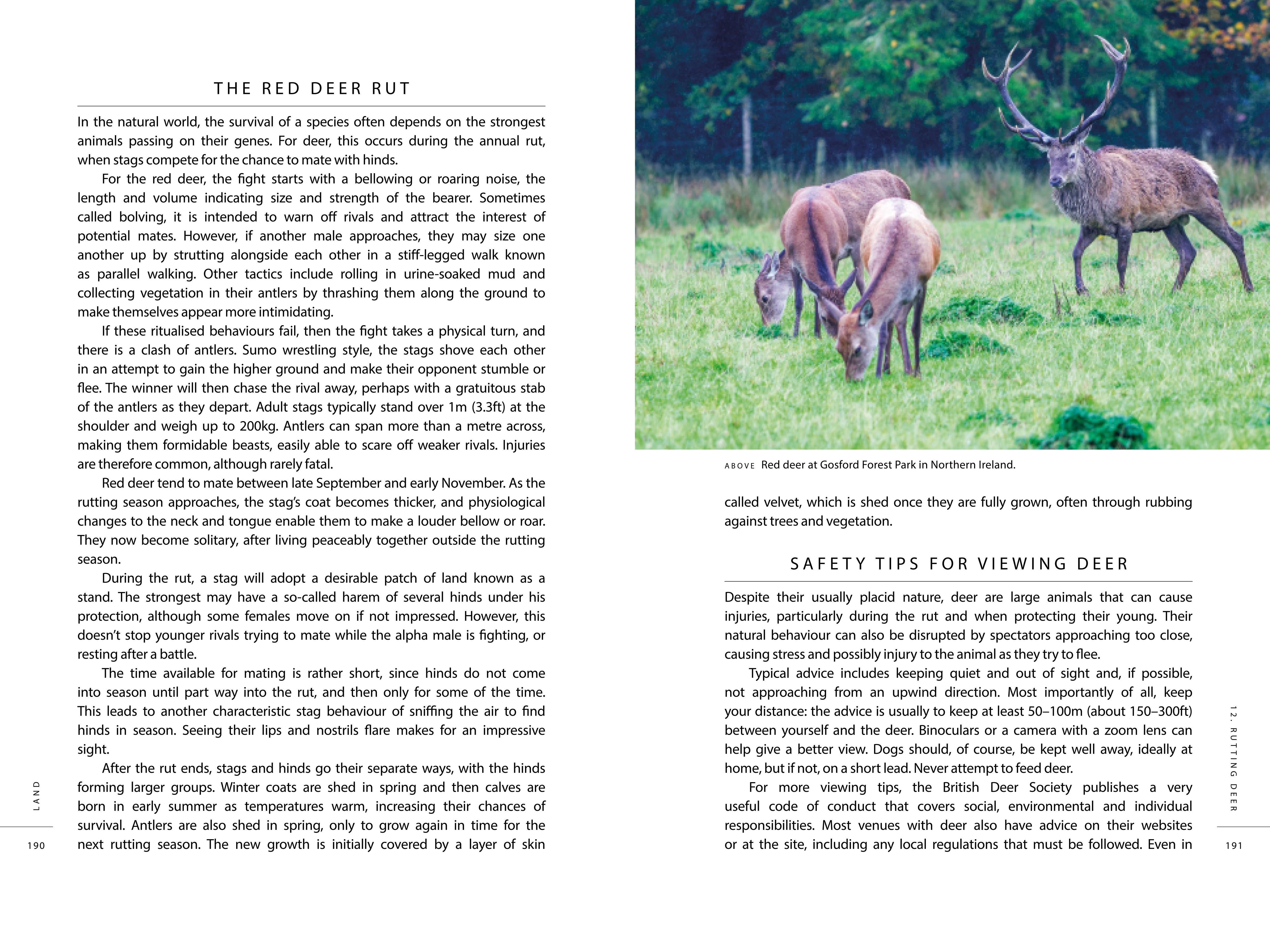 Page Spread