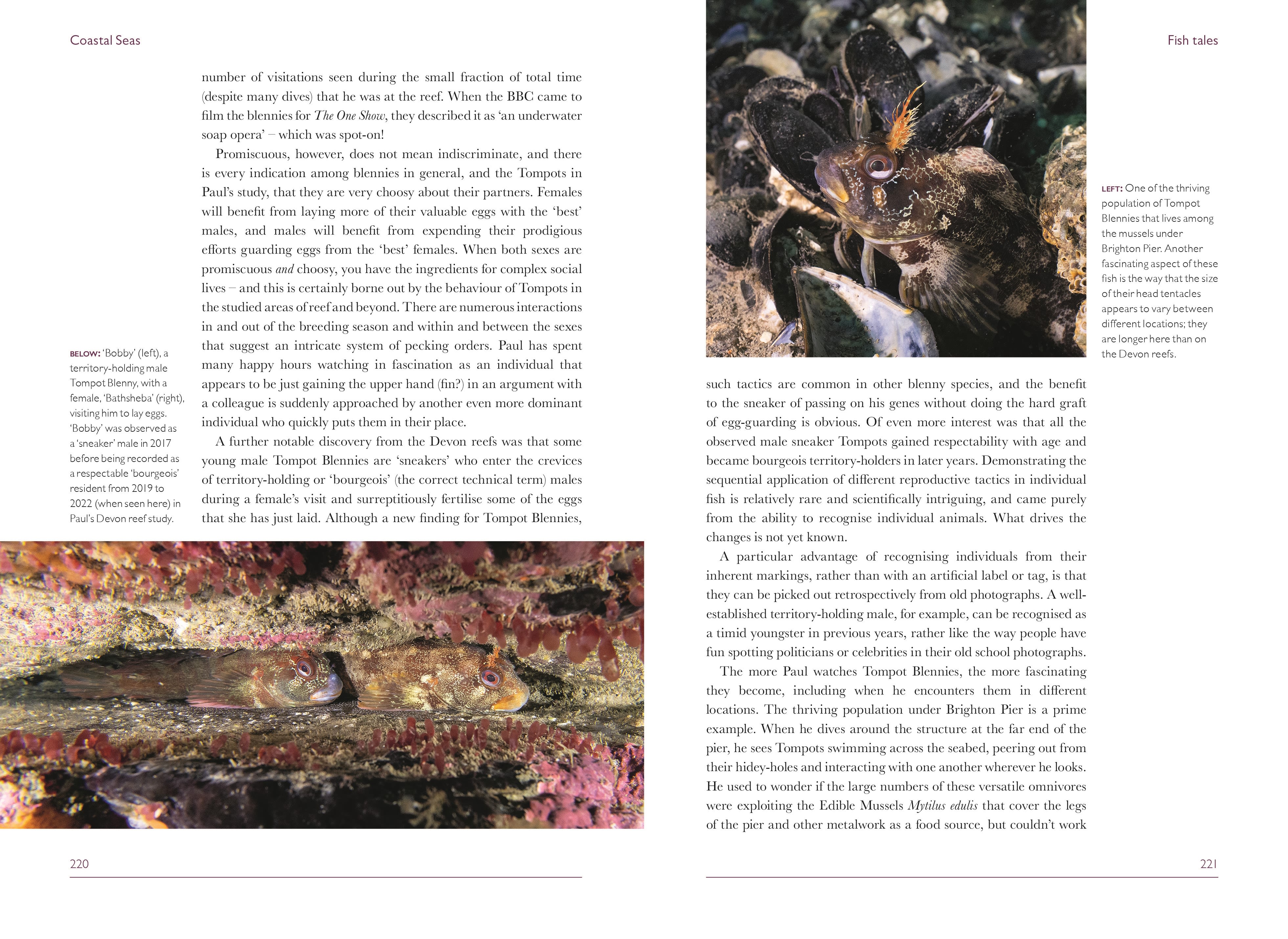 Page Spread