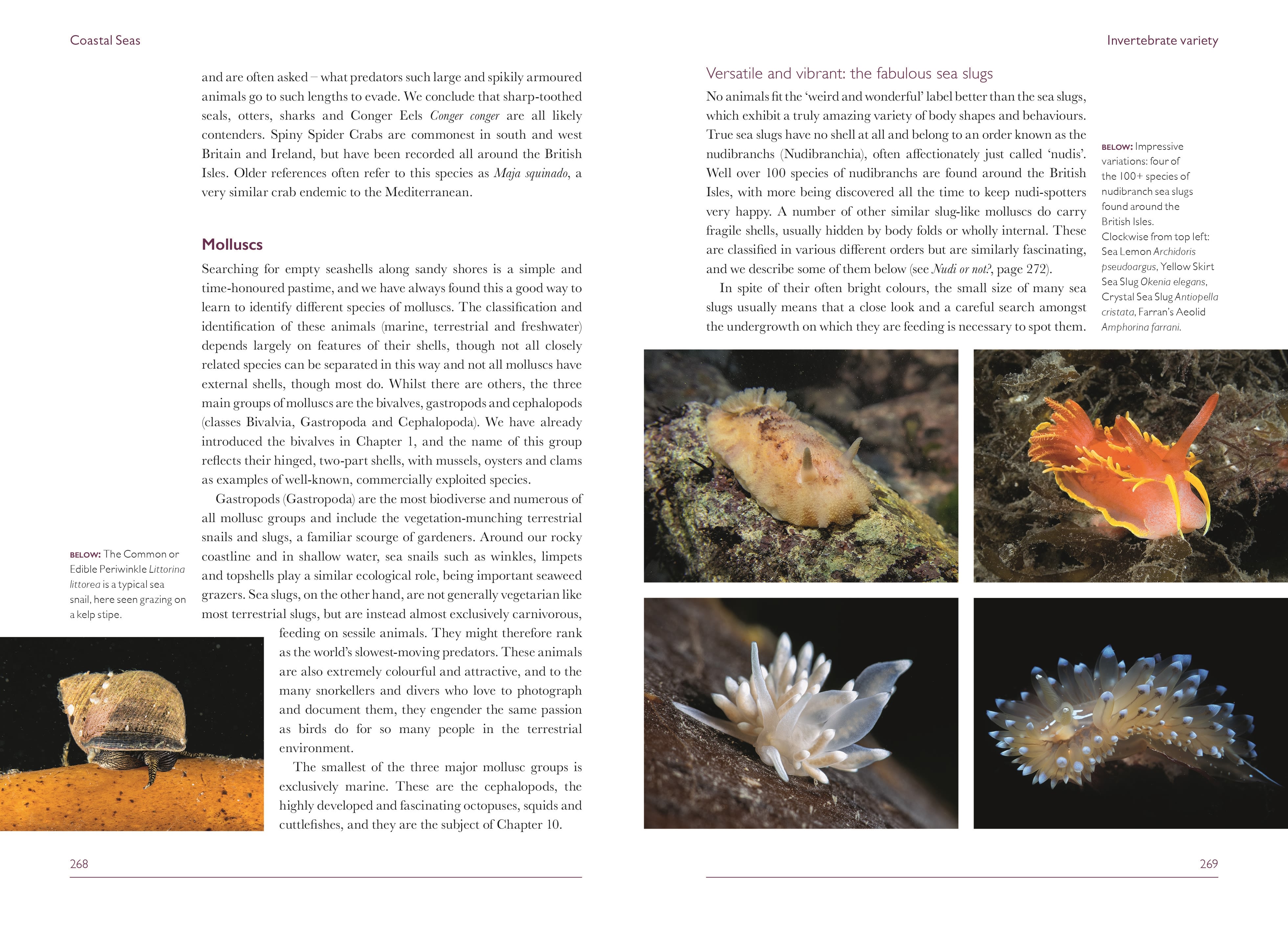 Page Spread