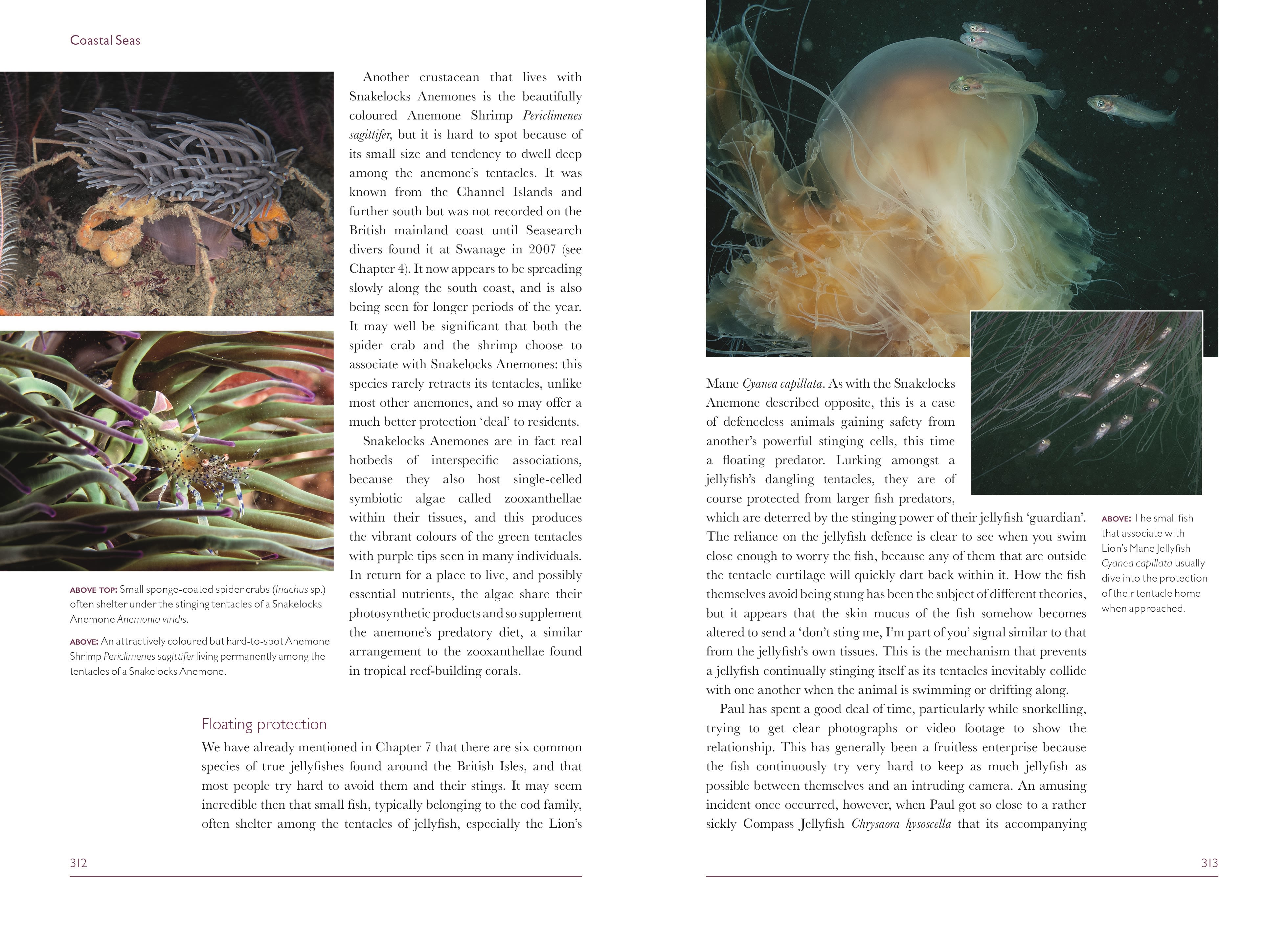 Page Spread