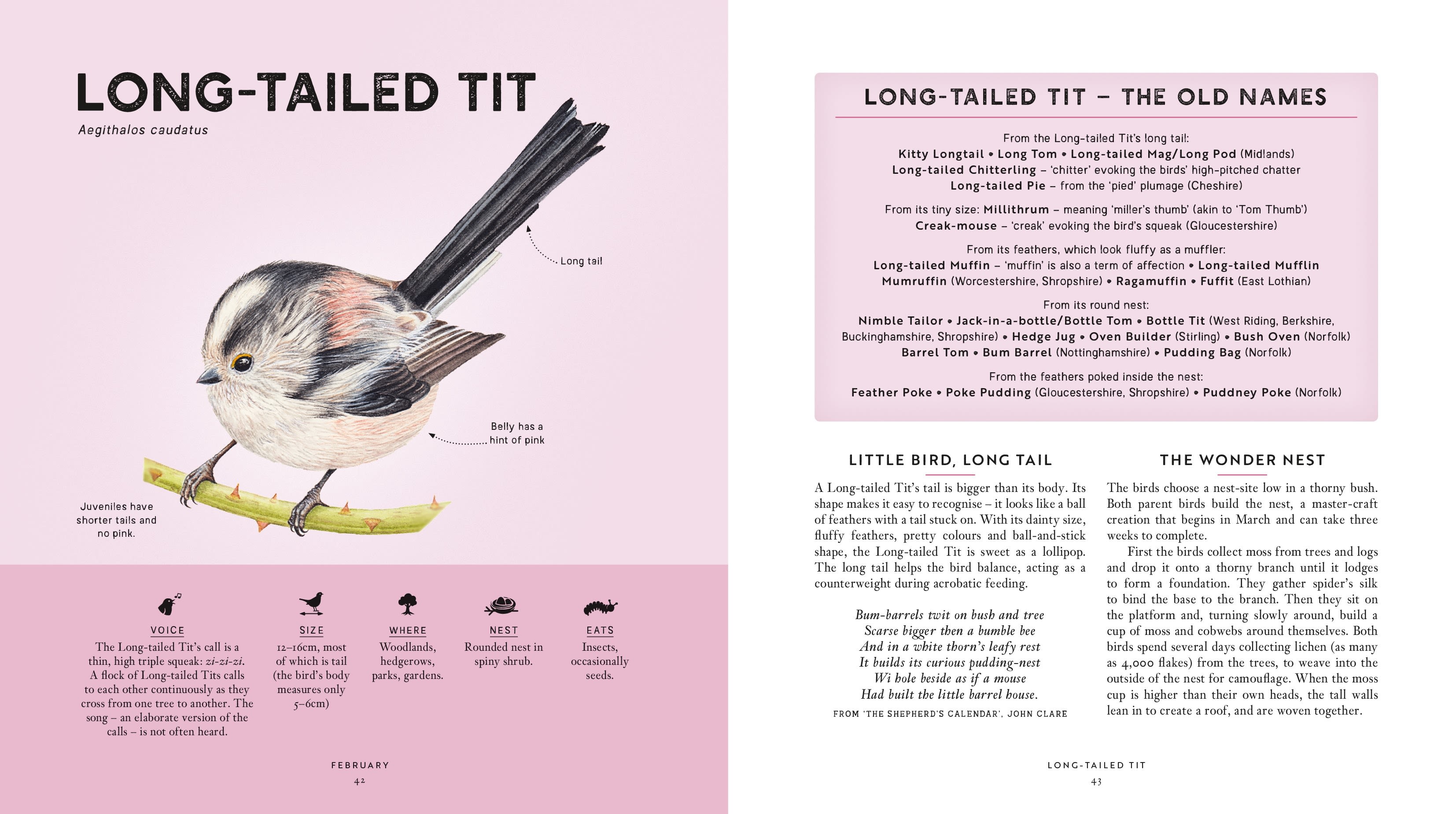Page Spread