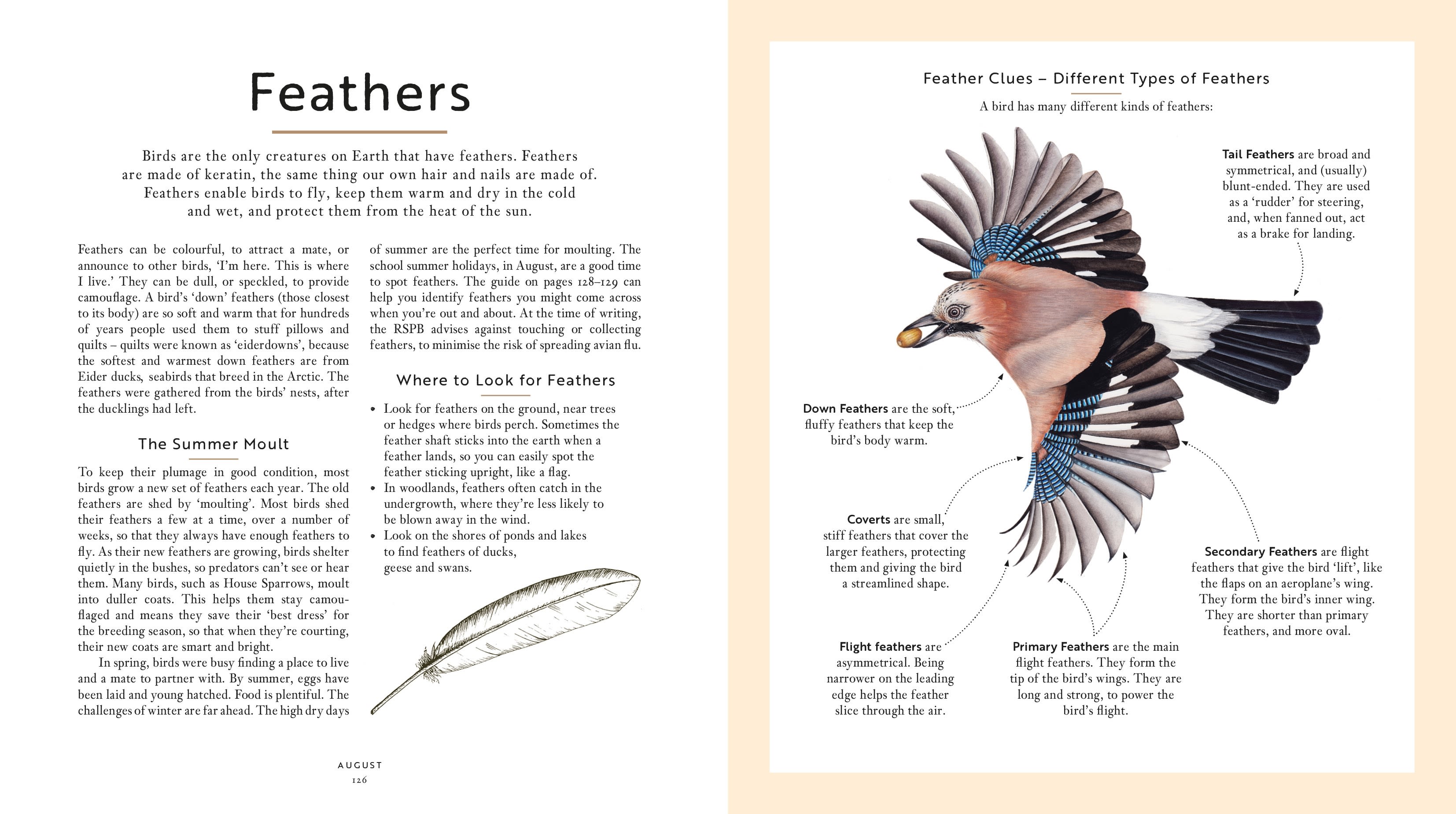Page Spread