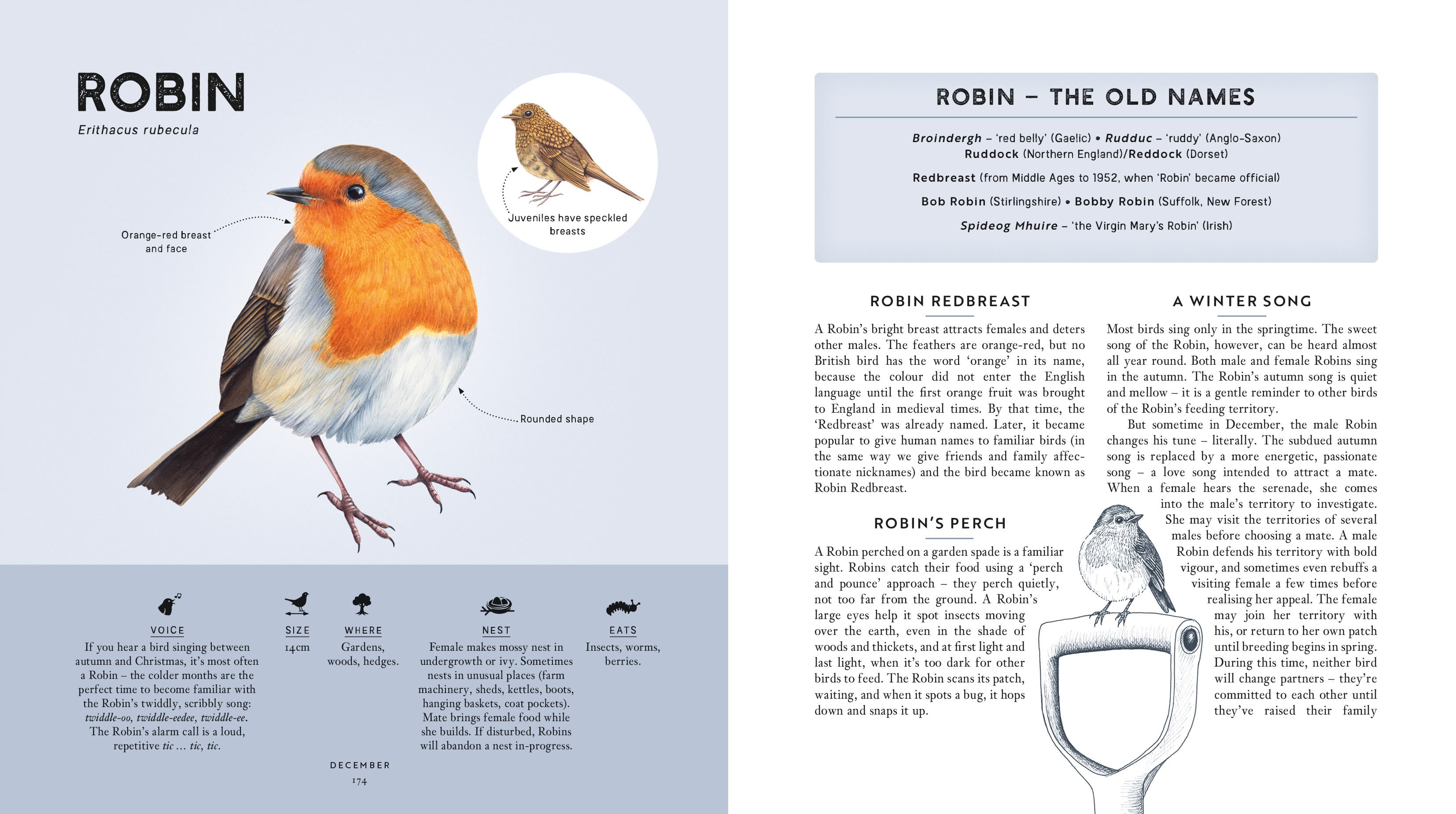 Page Spread