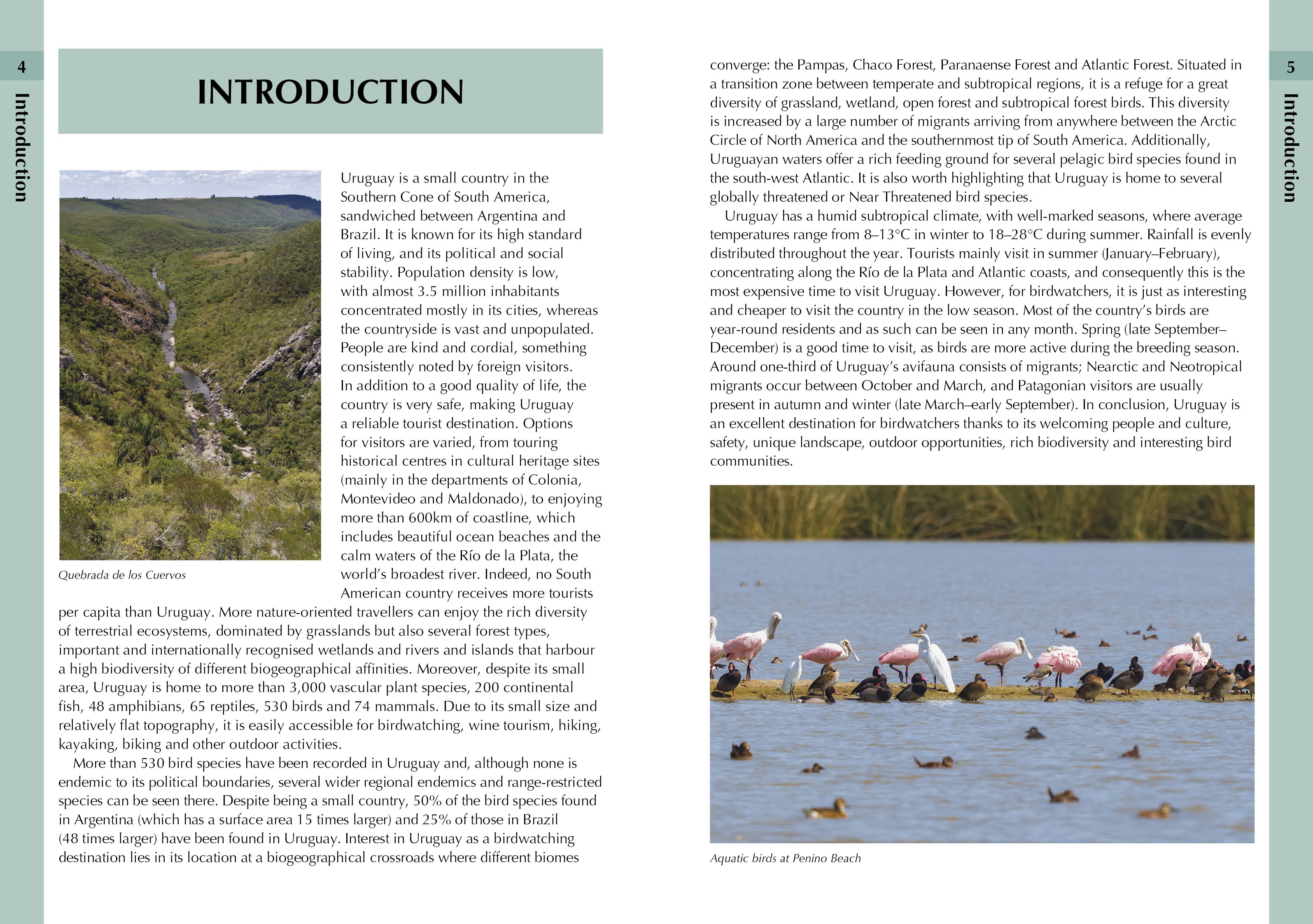 Page Spread