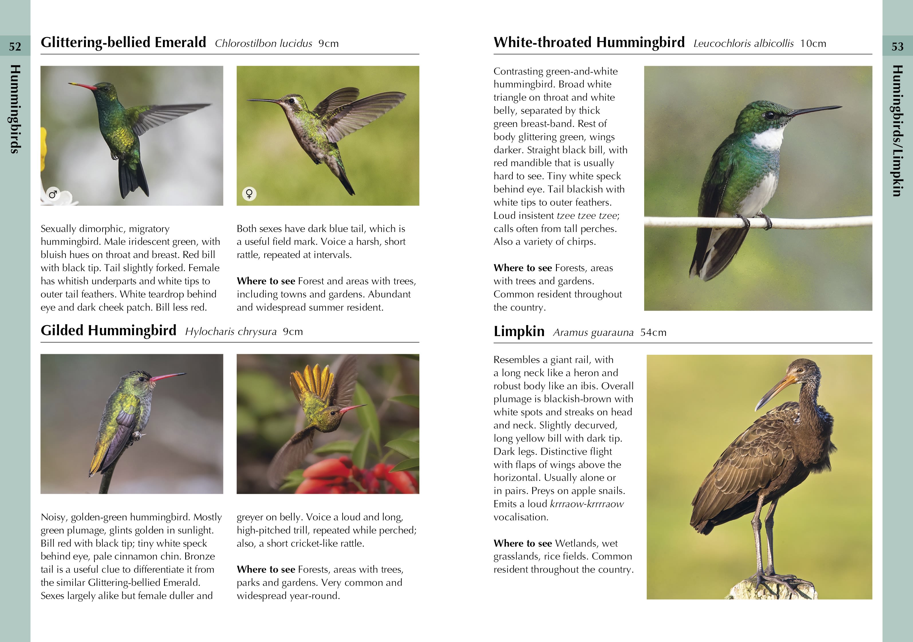 Page Spread