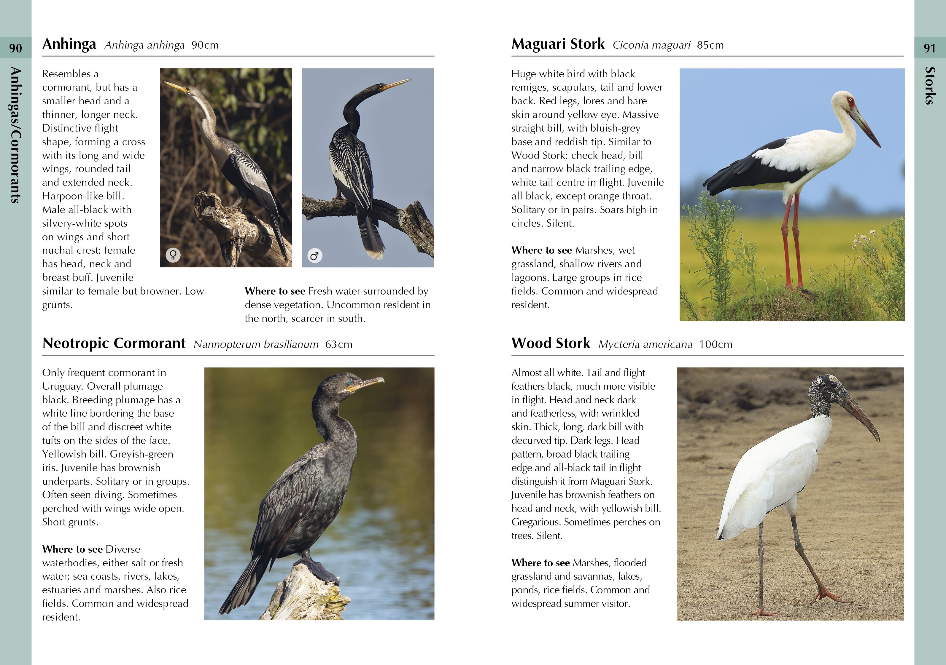 Page Spread