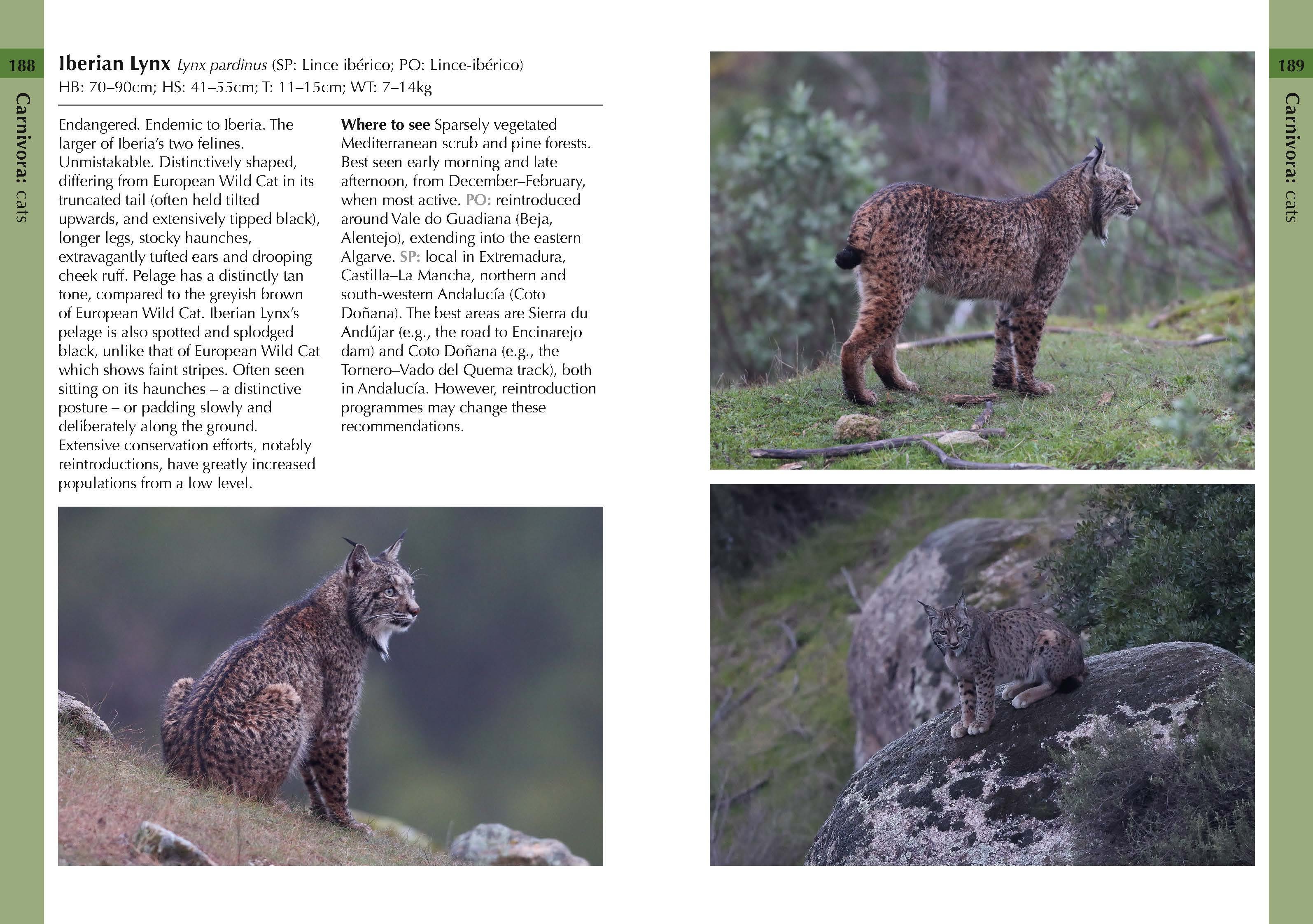 Page Spread