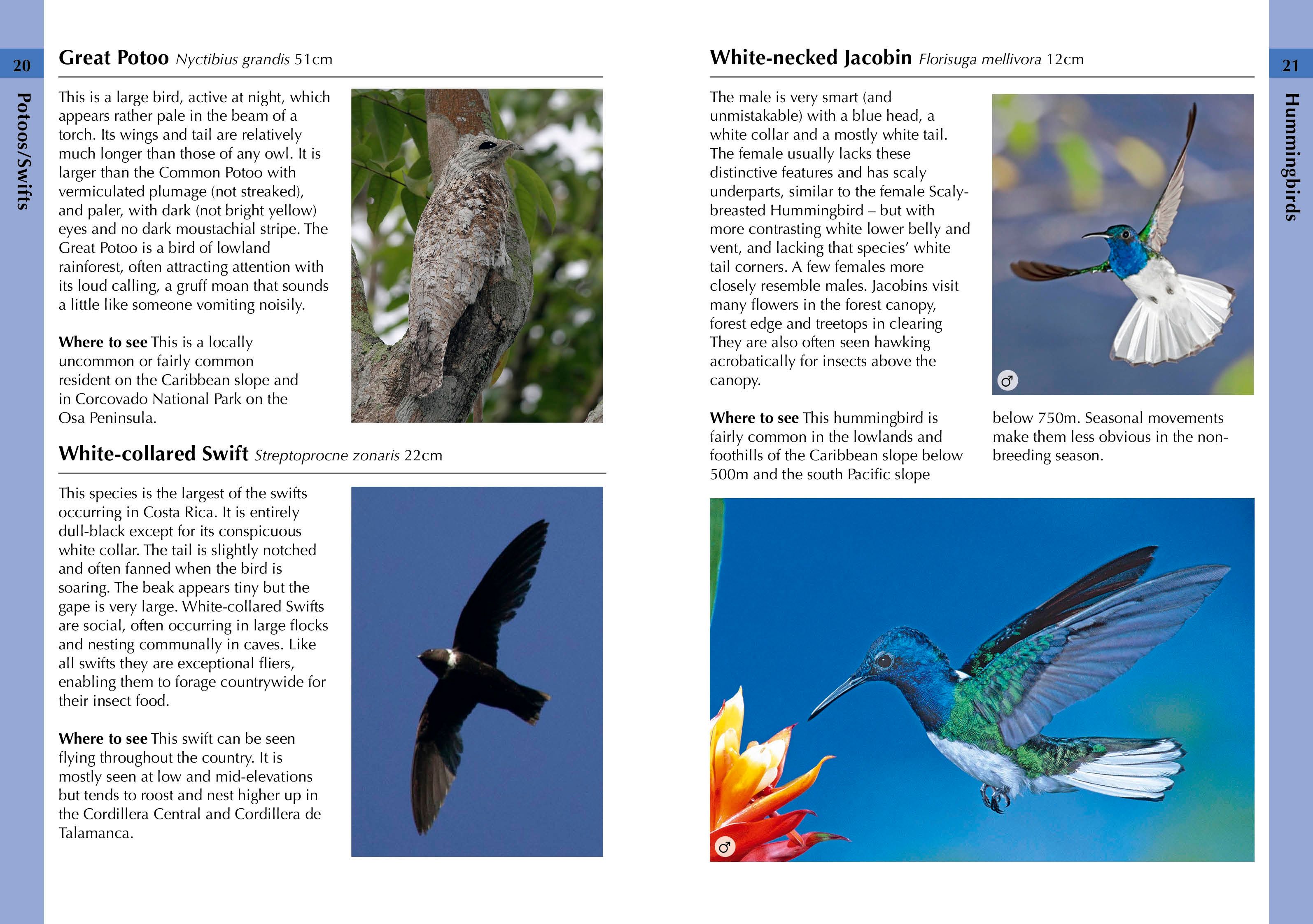 Page Spread