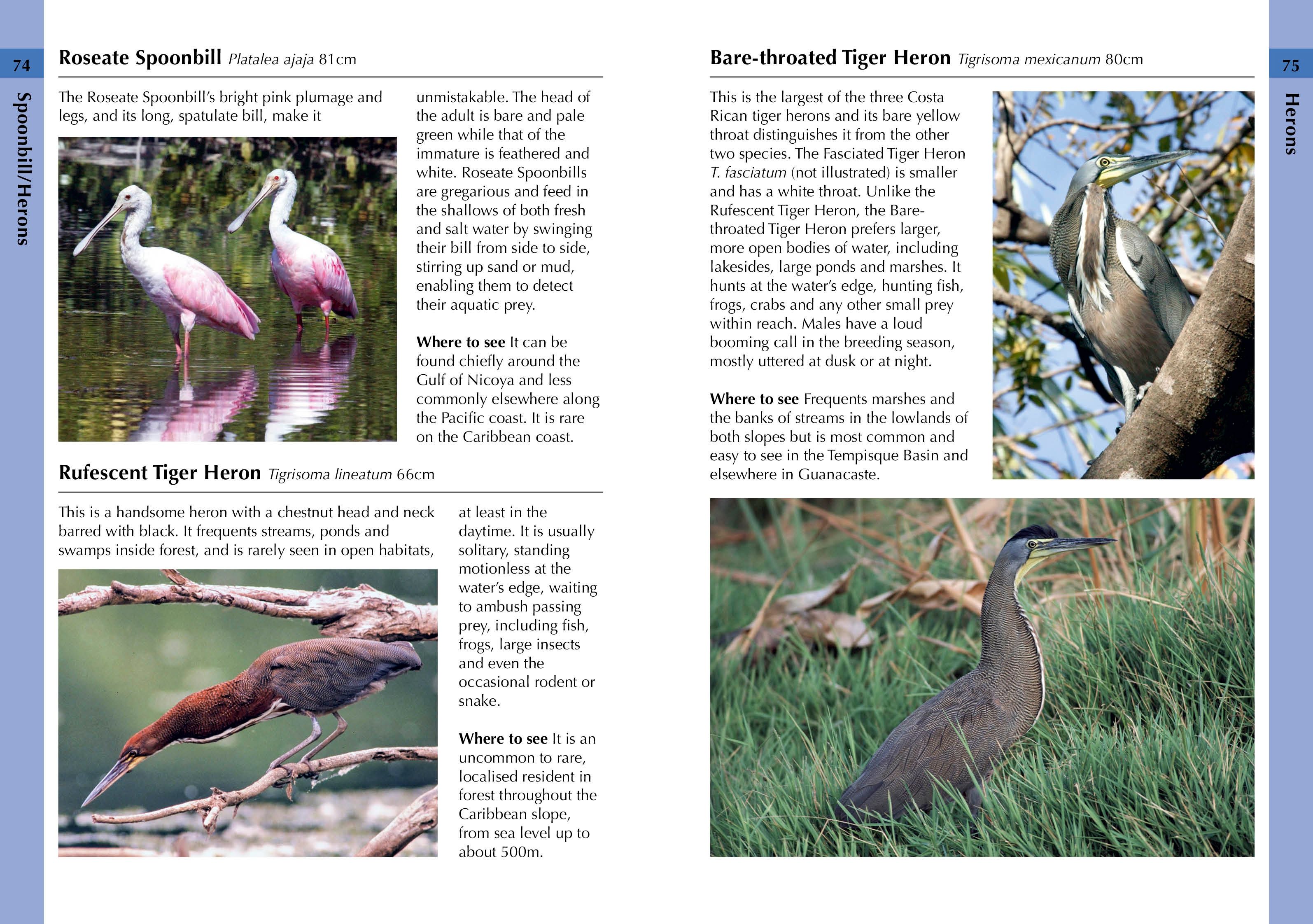 Page Spread
