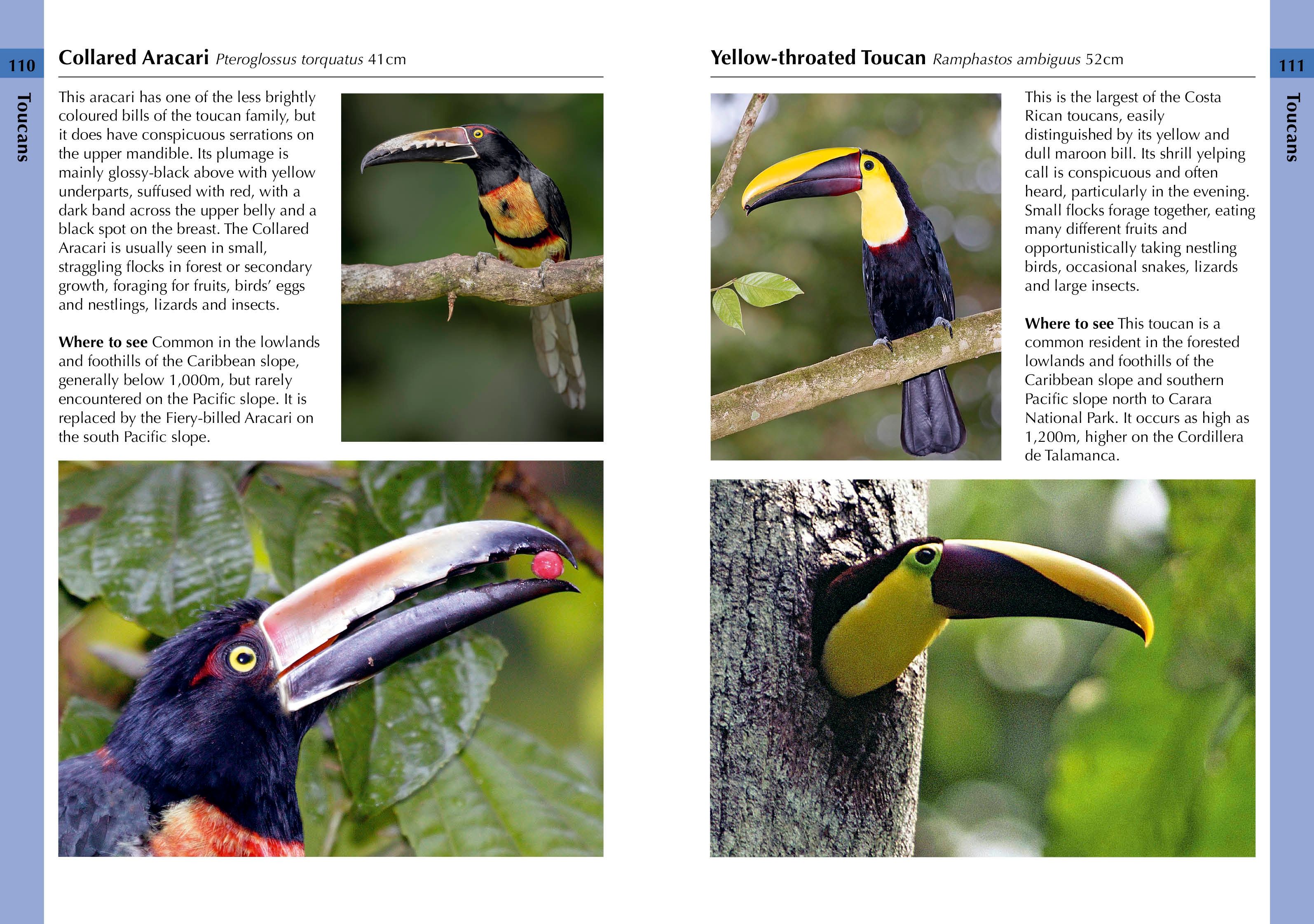 Page Spread