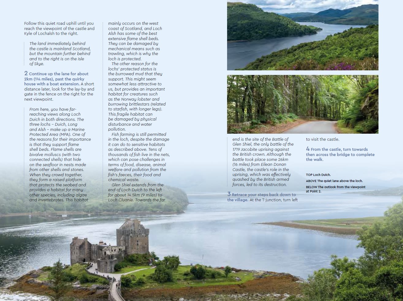 Page Spread