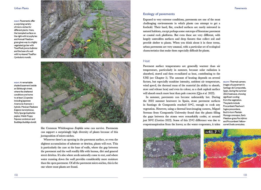 Page Spread