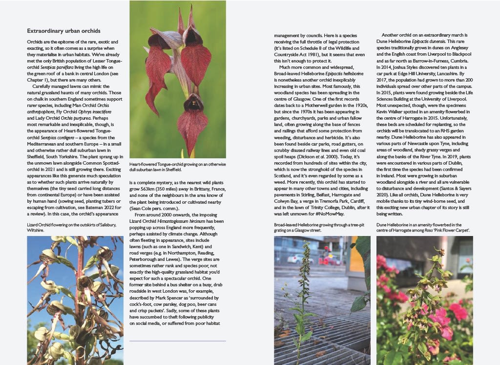 Page Spread