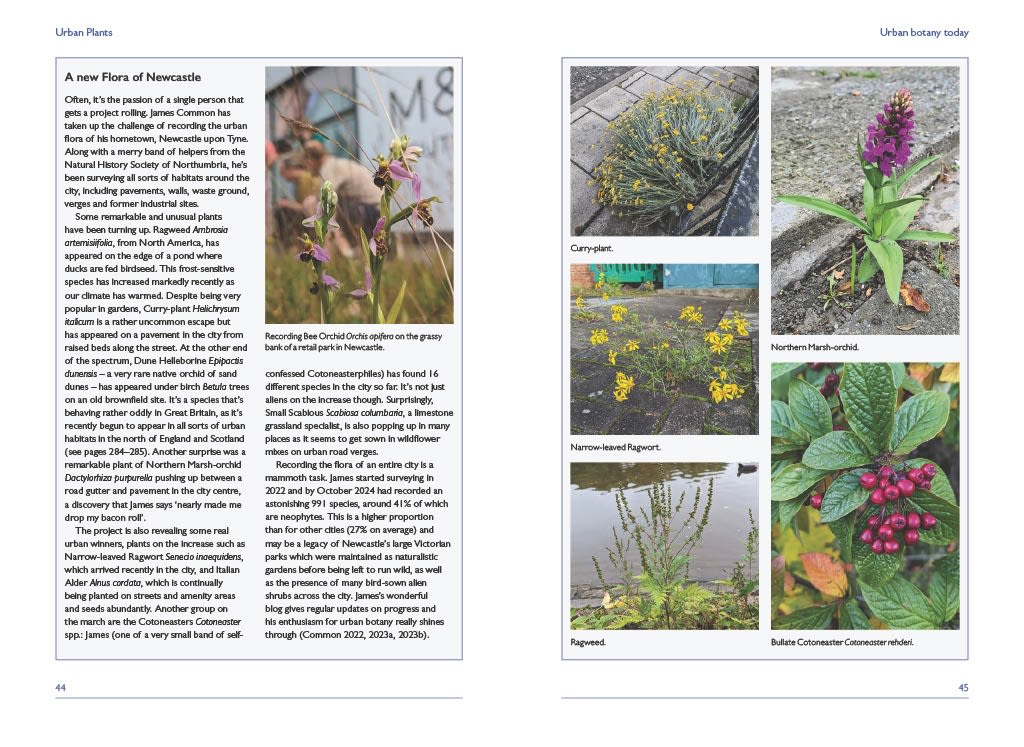 Page Spread