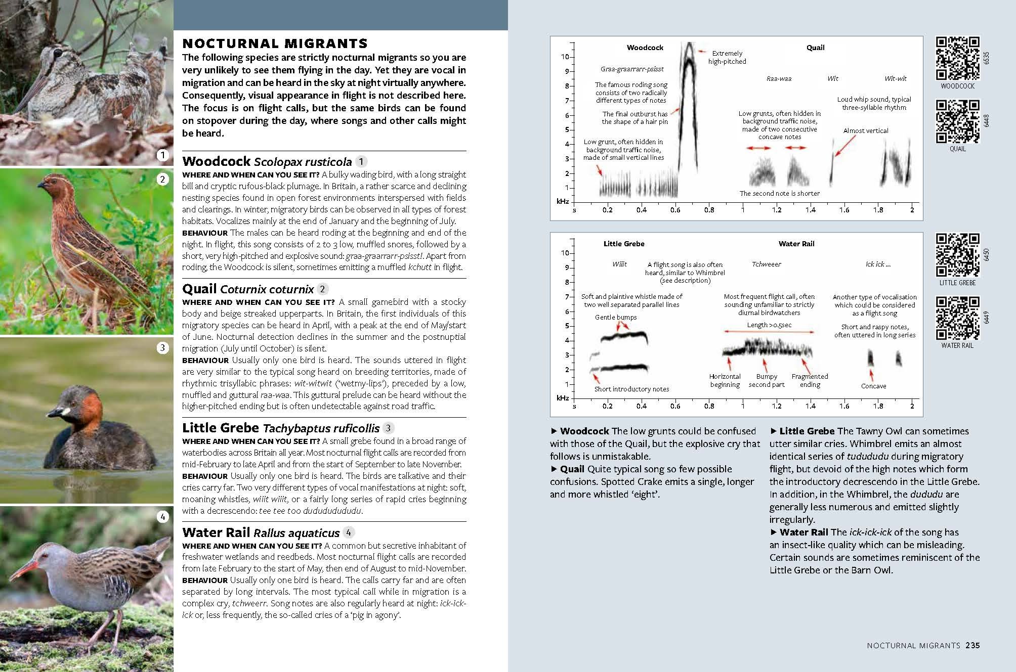 Page Spread