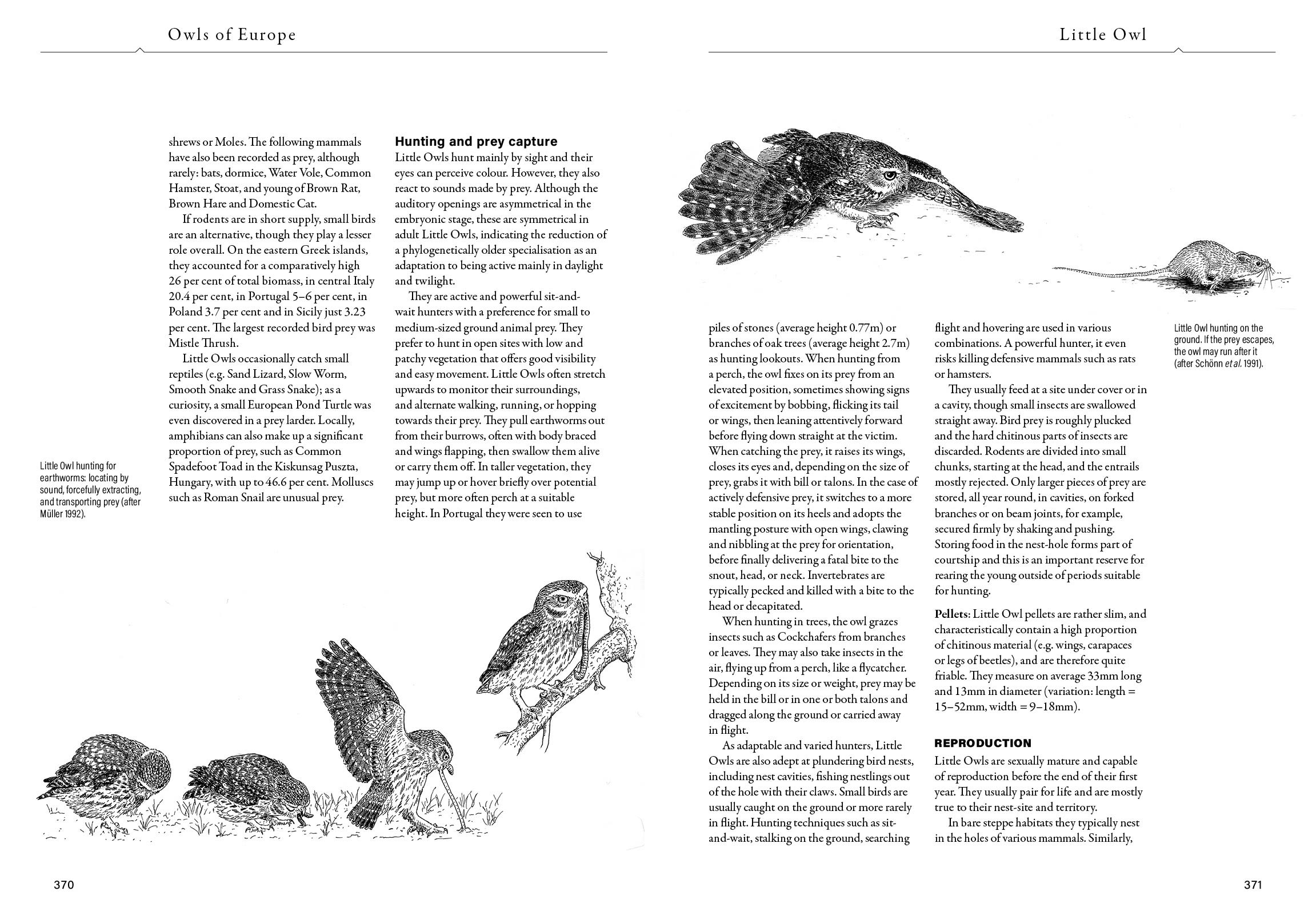 Page Spread