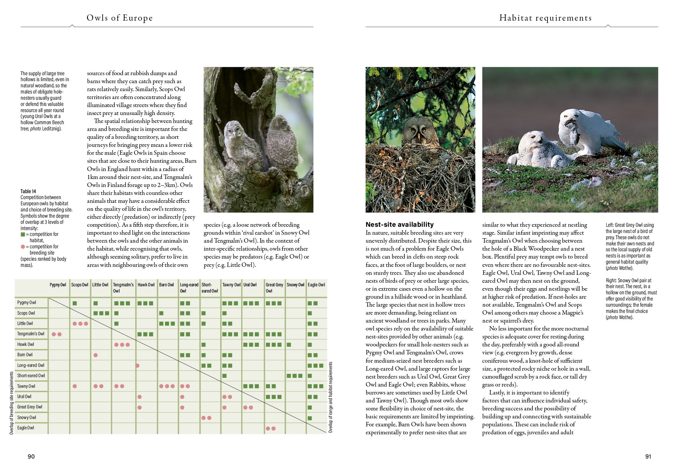 Page Spread
