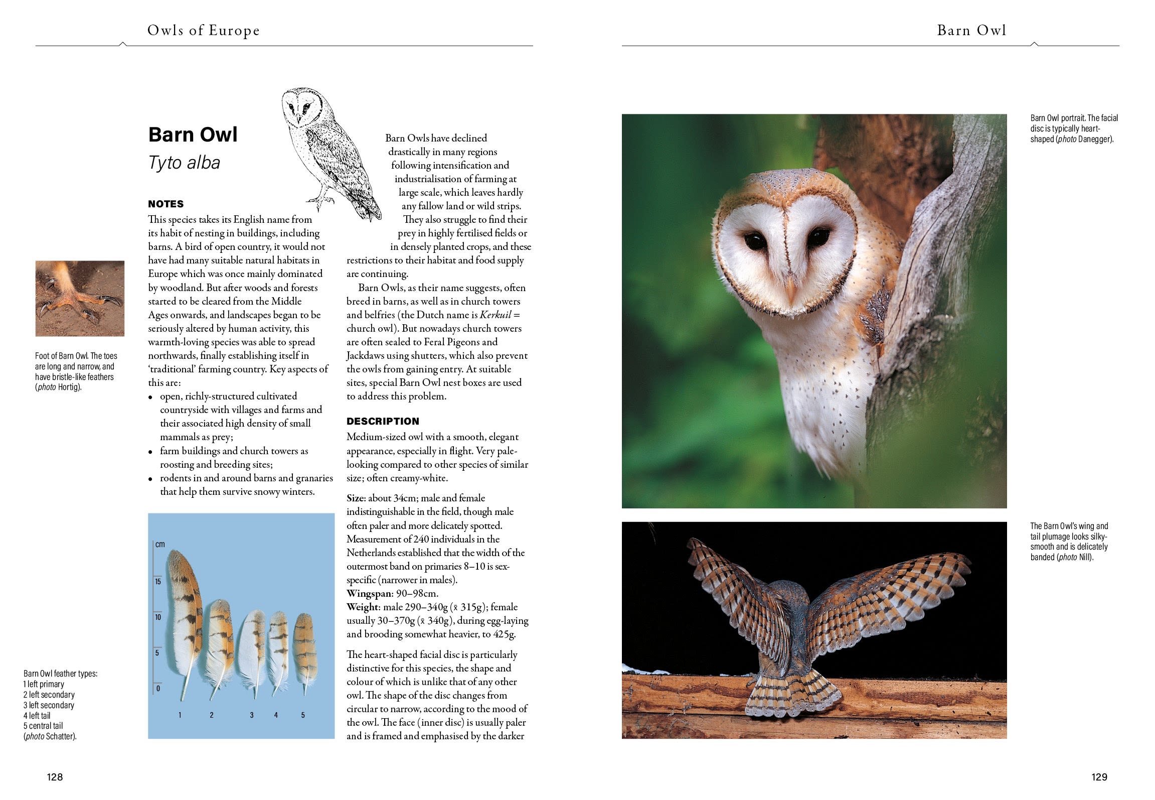 Page Spread