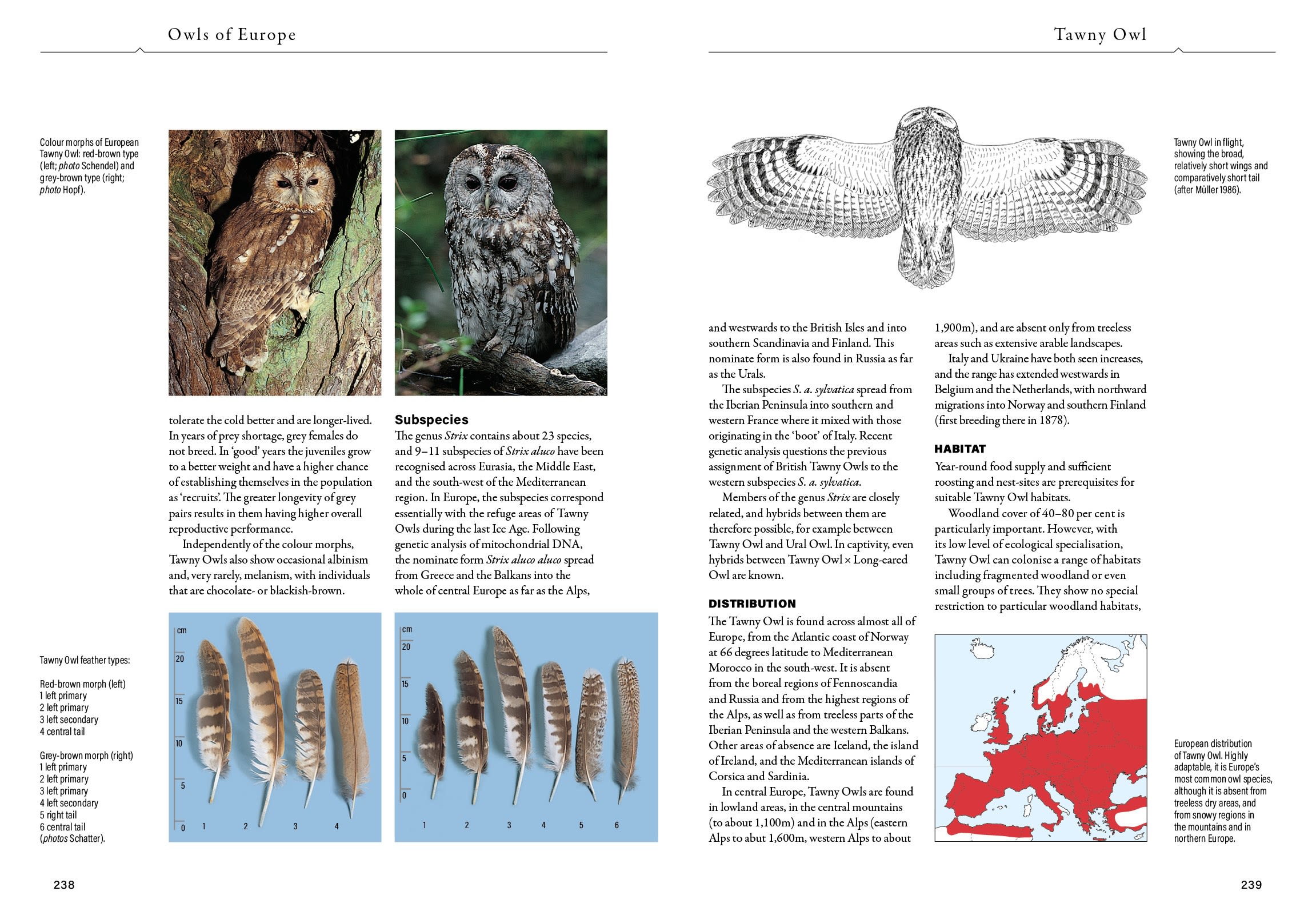Page Spread