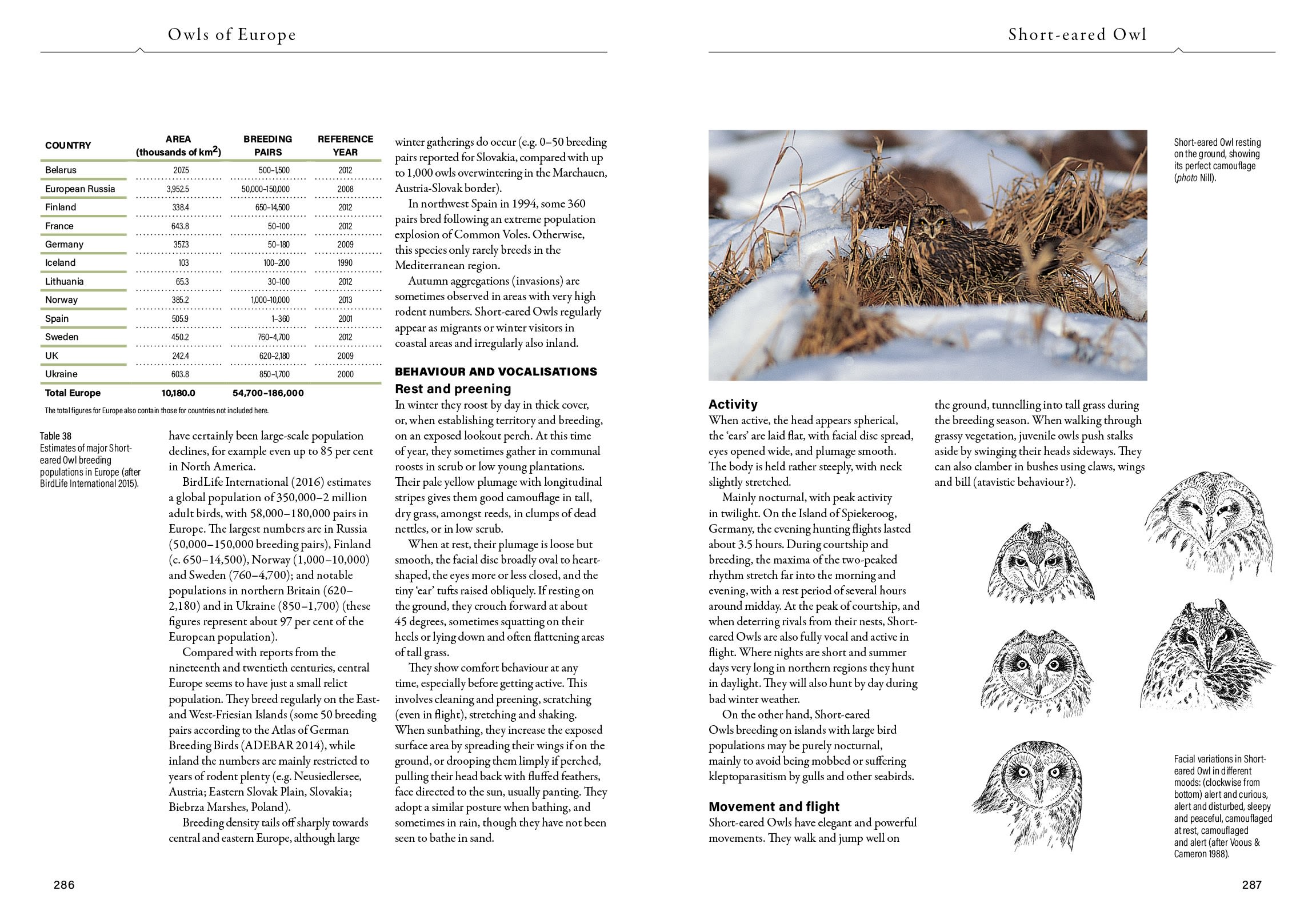 Page Spread