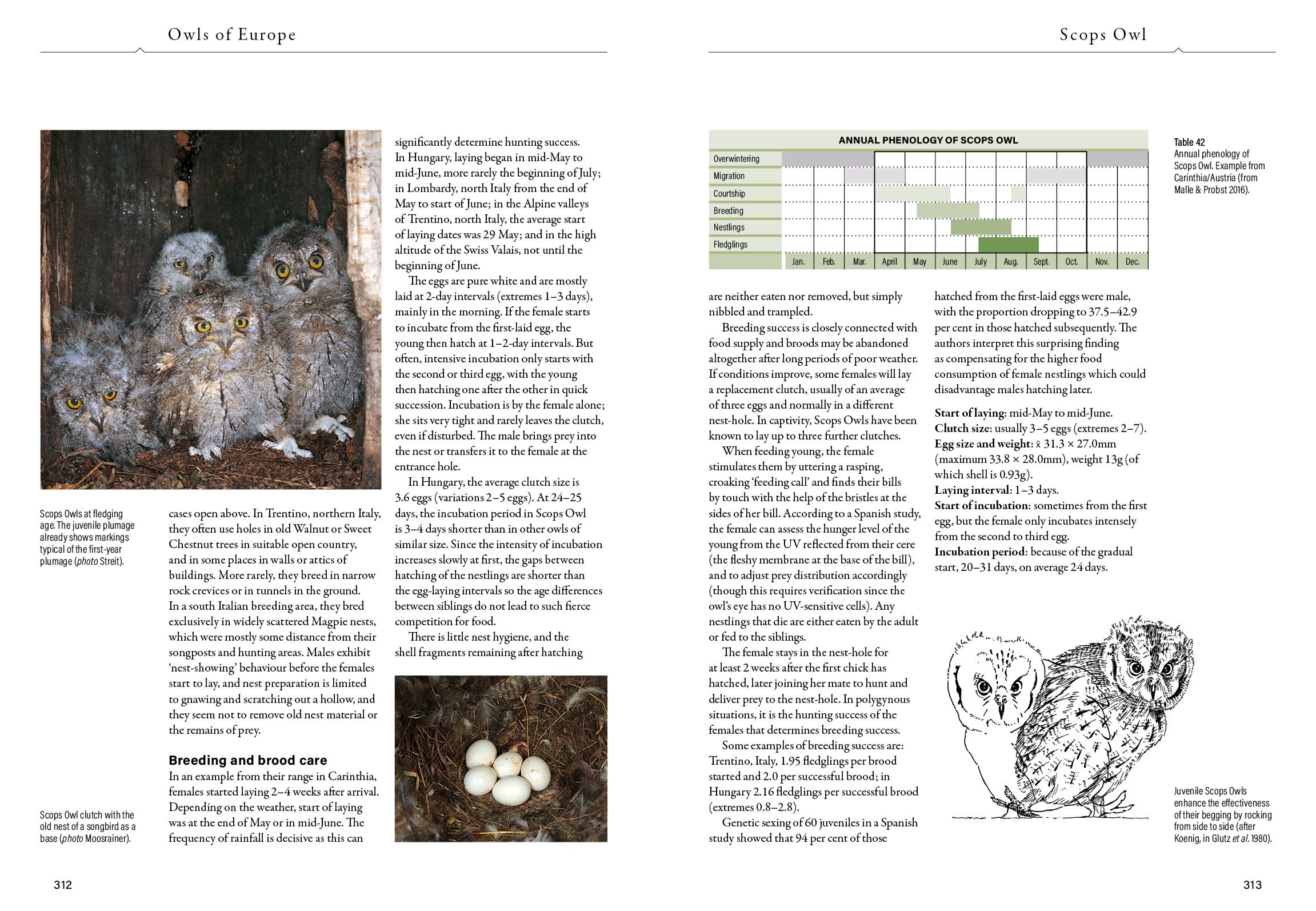 Page Spread