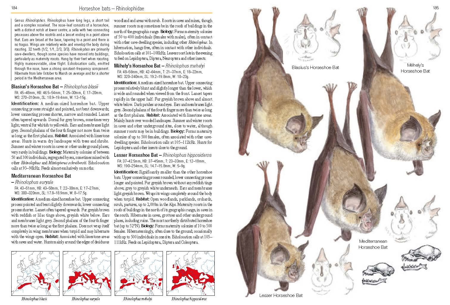 Page Spread
