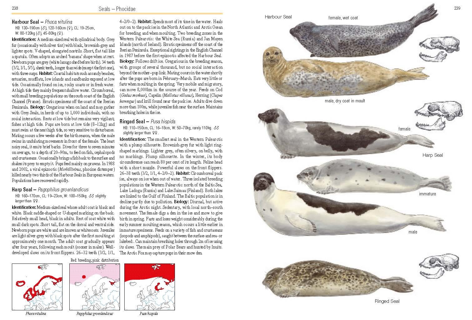 Page Spread