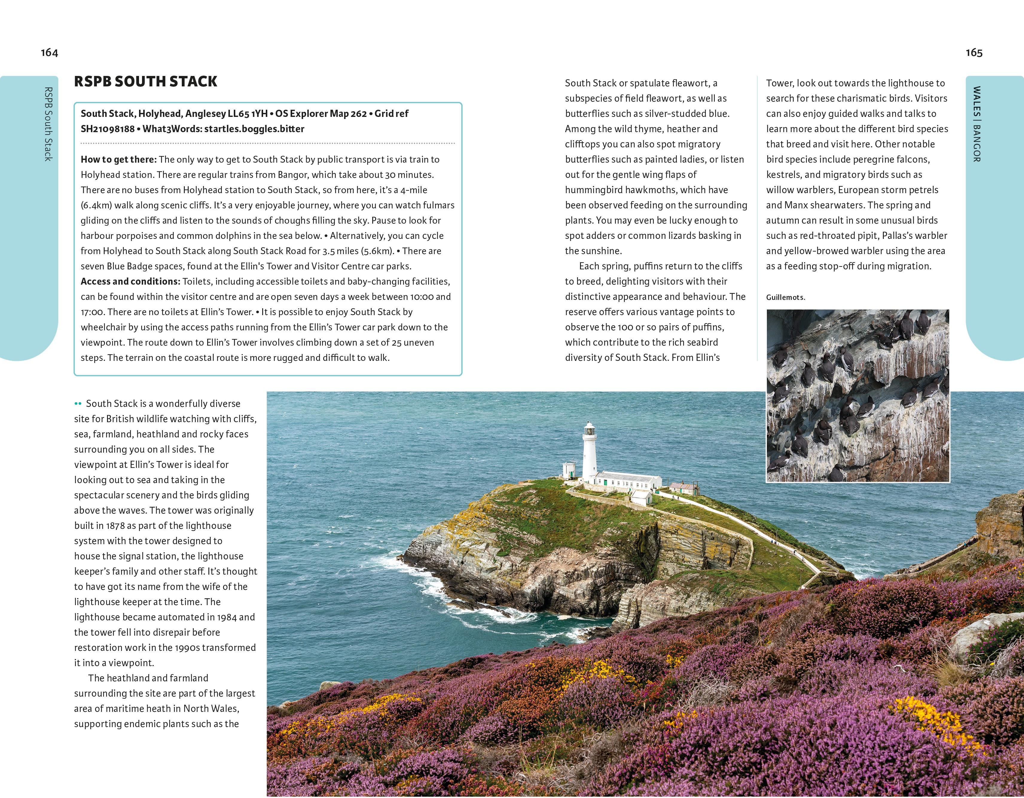 Page Spread