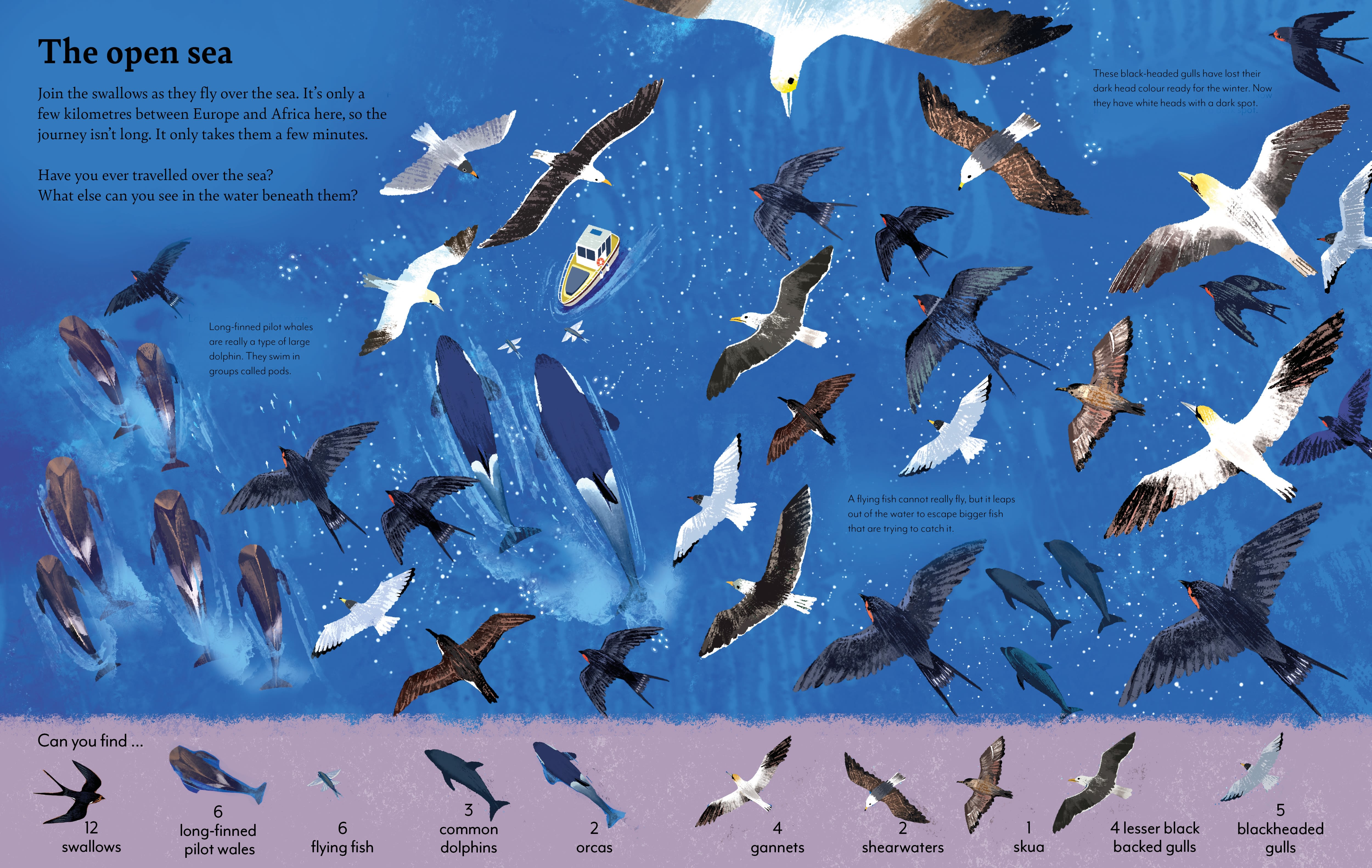 Page Spread