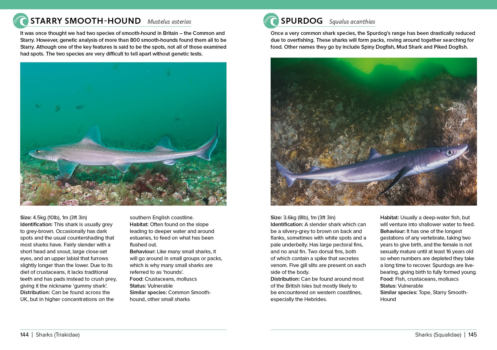Page Spread