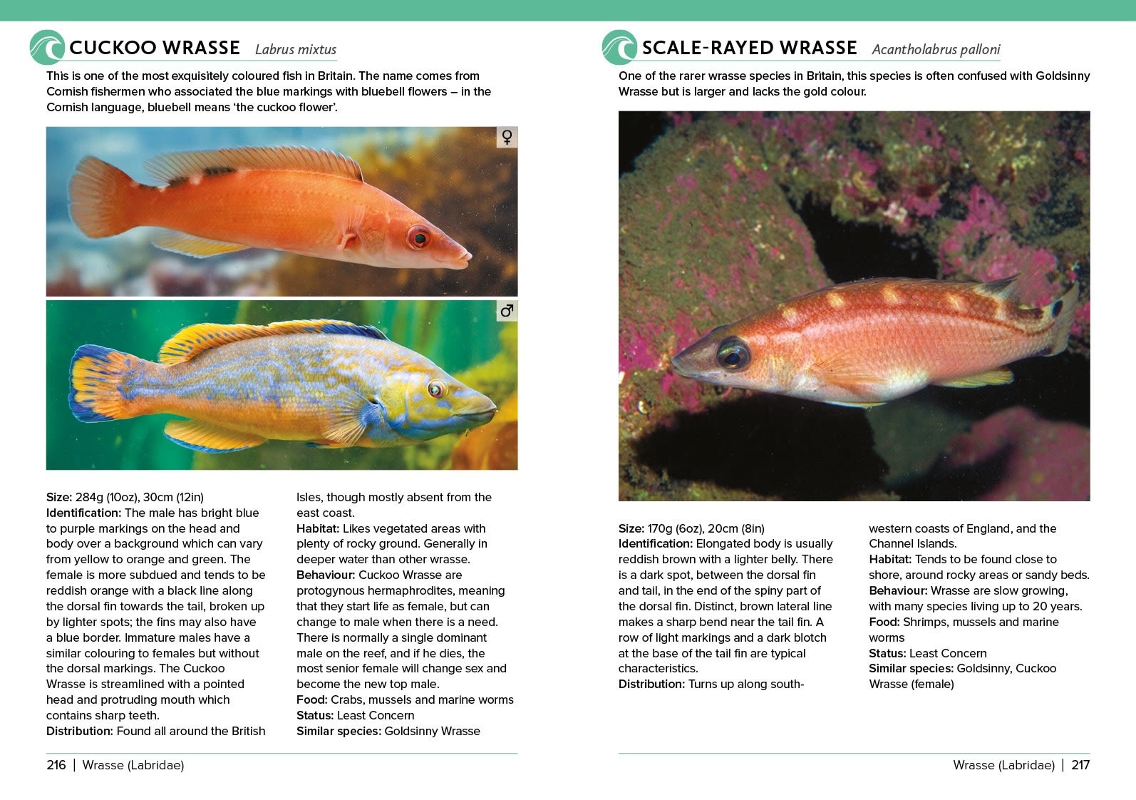 Page Spread