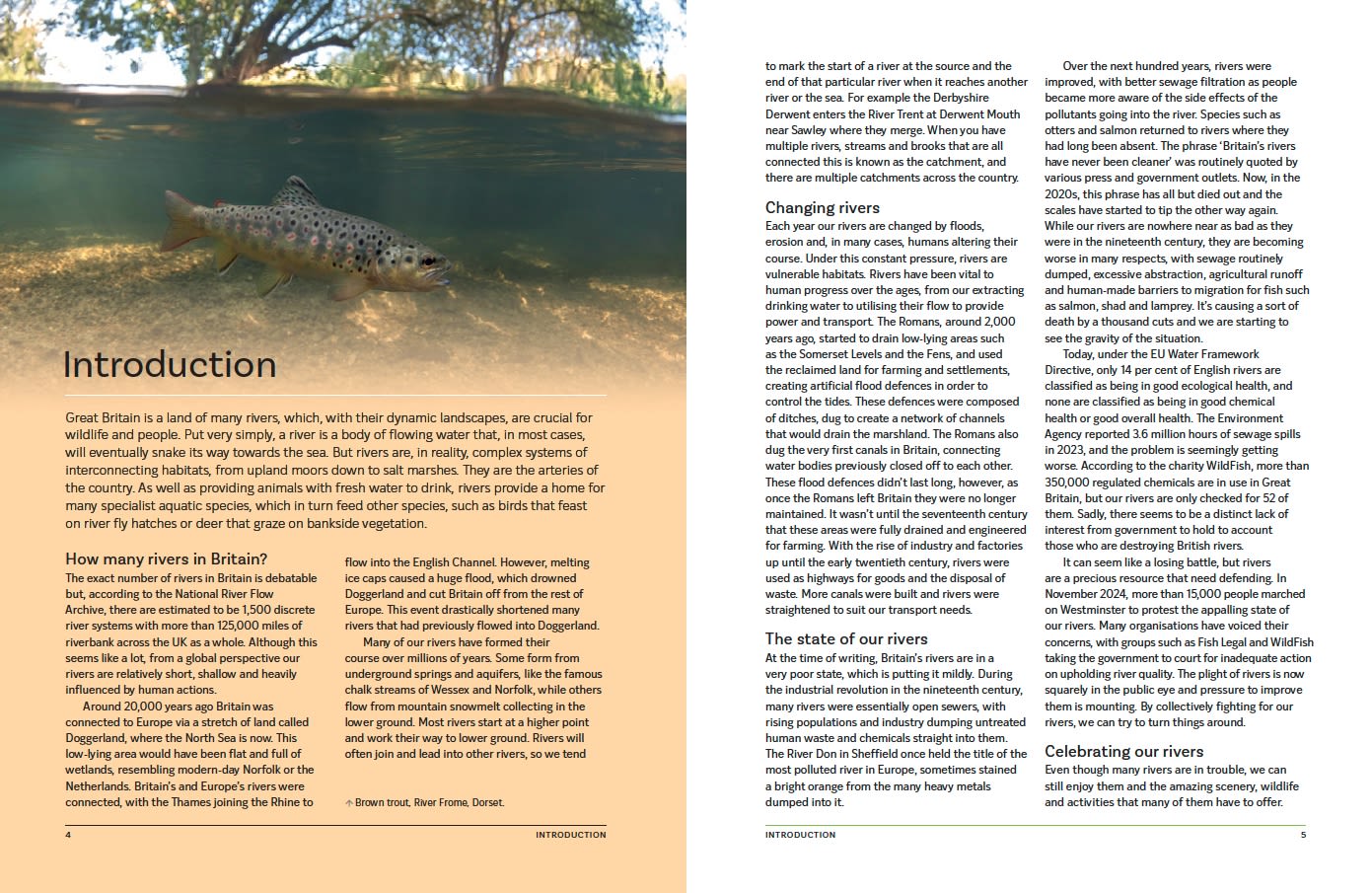 Page Spread