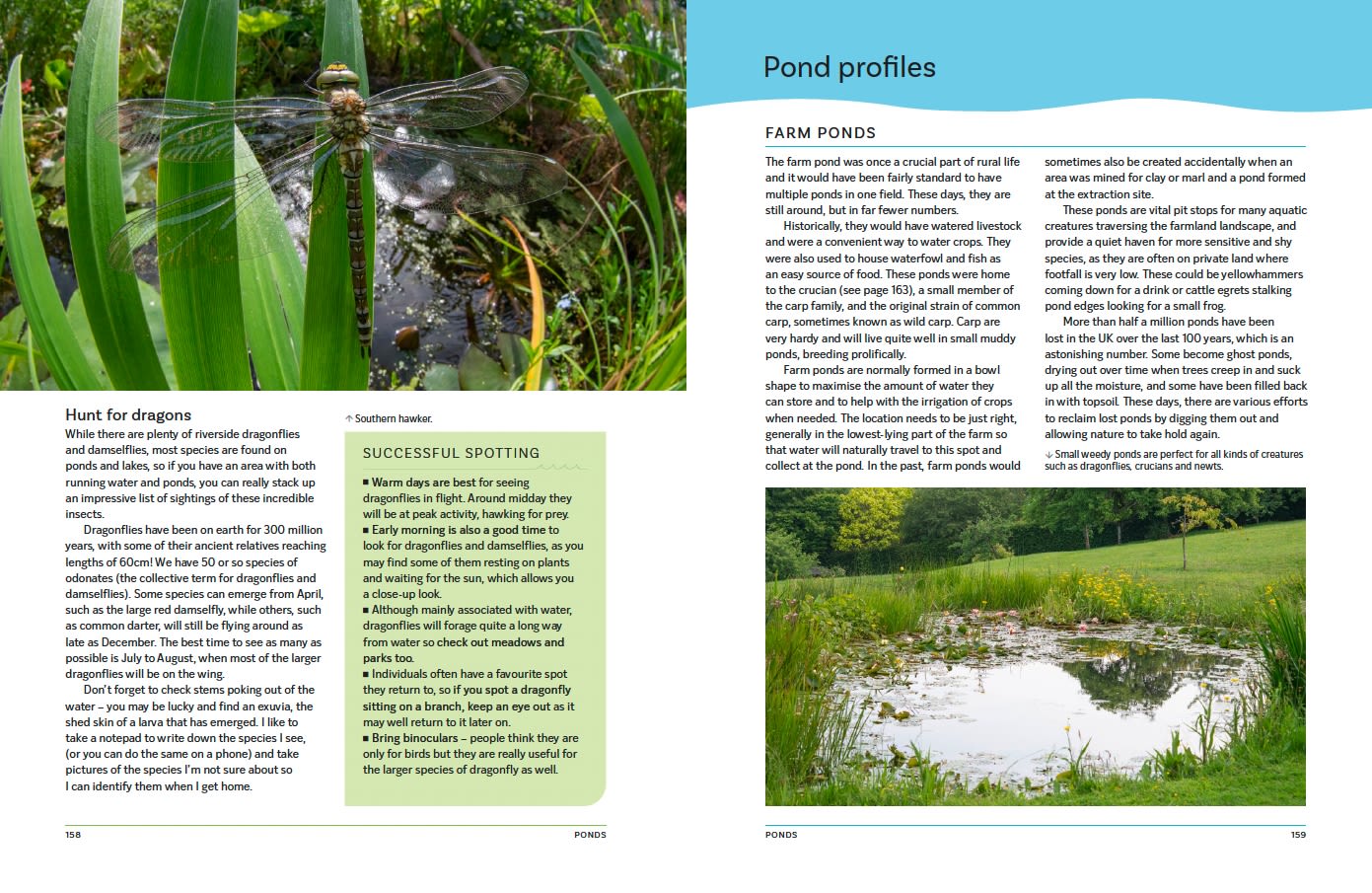 Page Spread