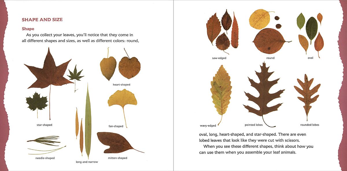 Page Spread
