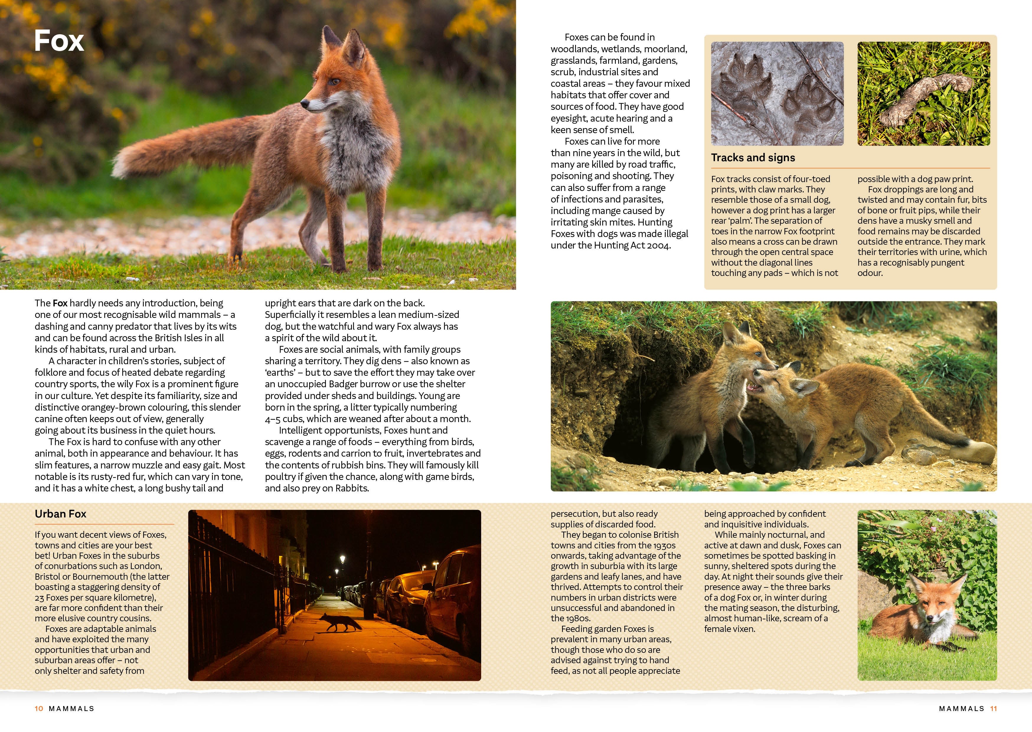 Page Spread