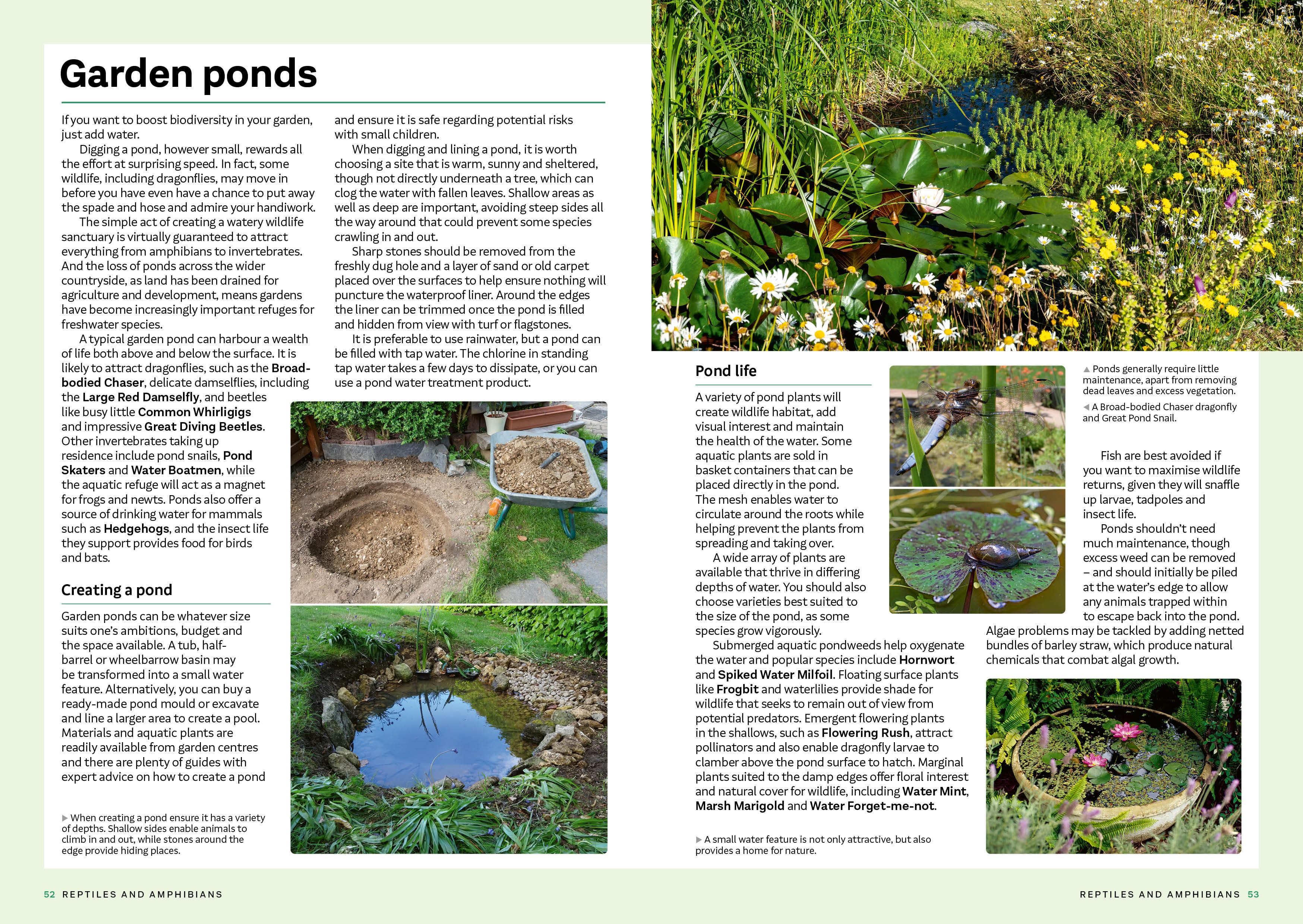 Page Spread