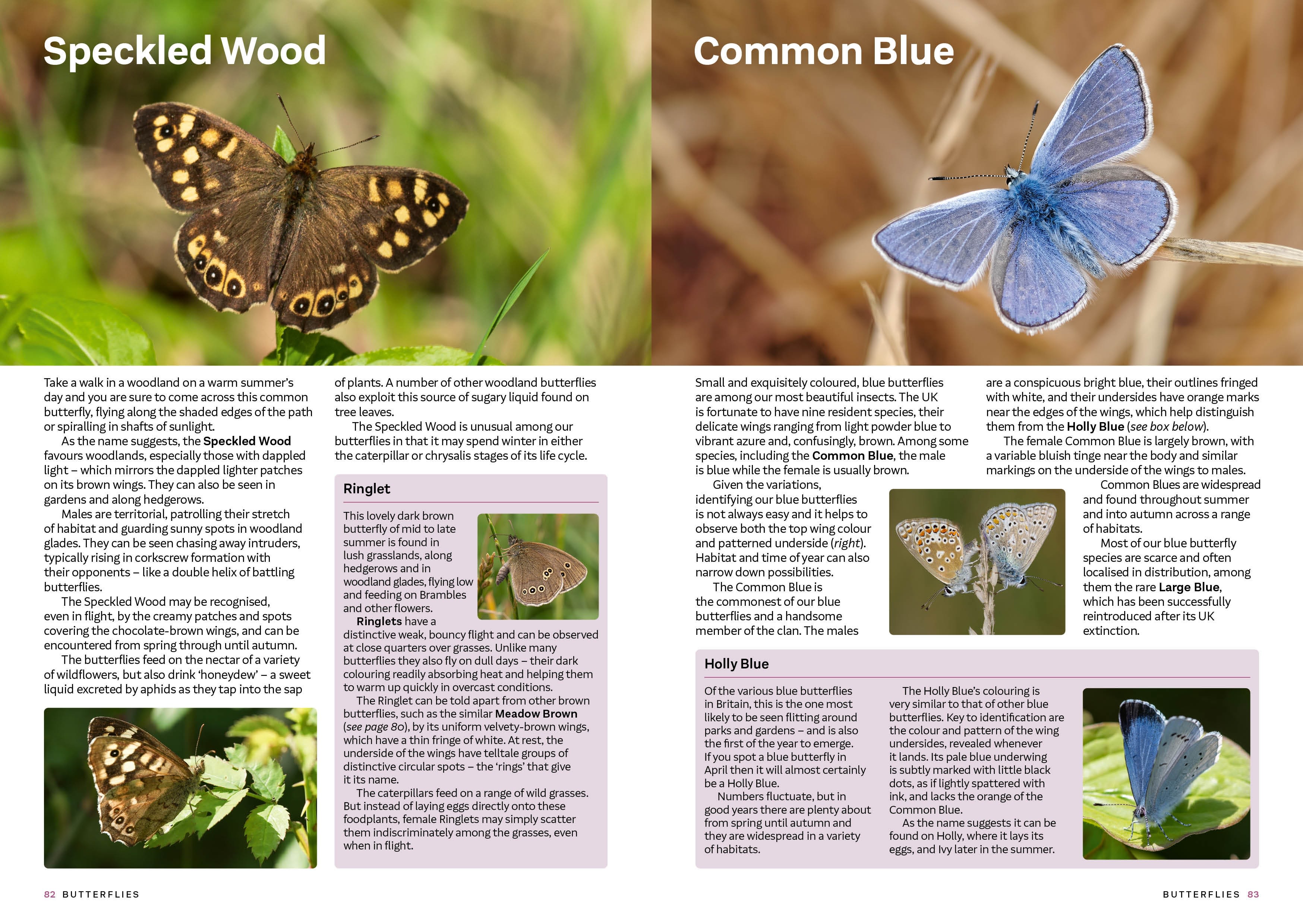 Page Spread