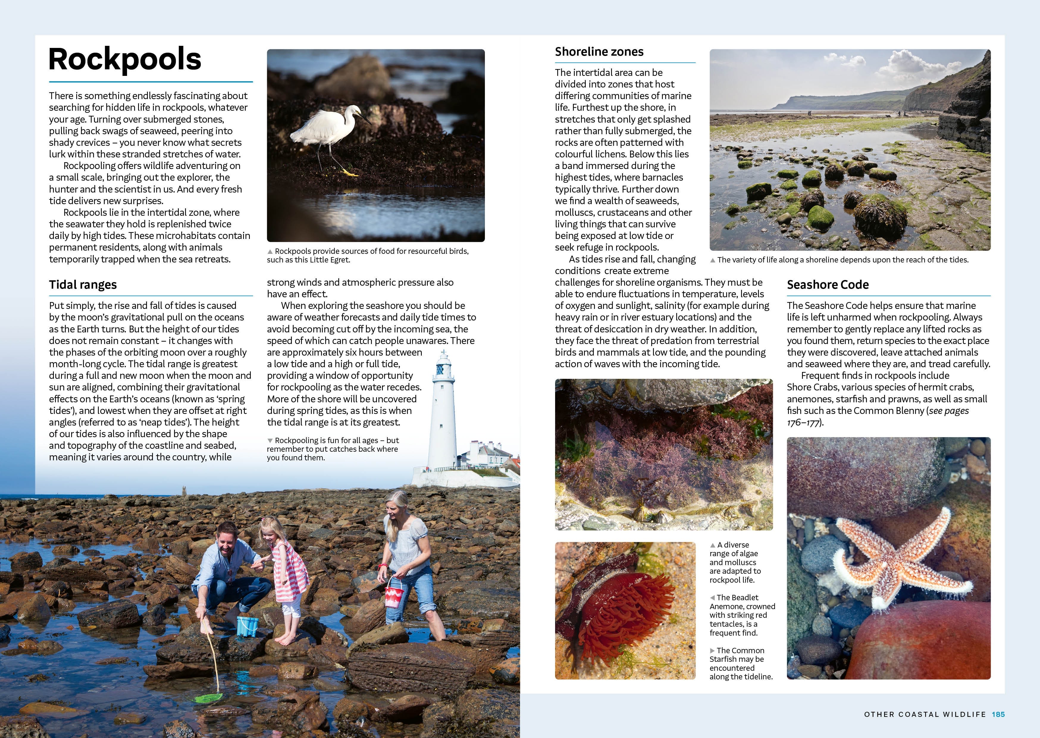 Page Spread
