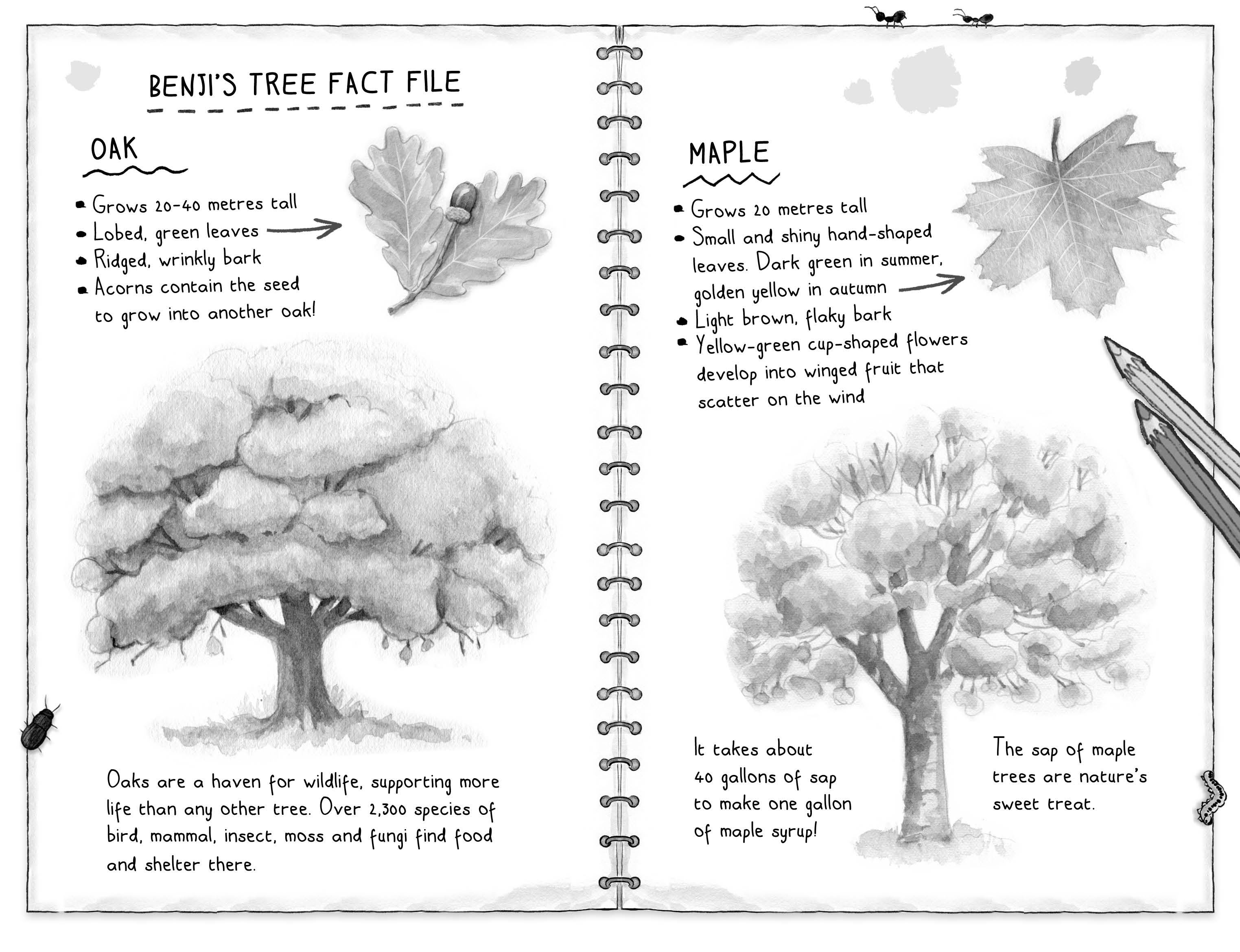 Page Spread