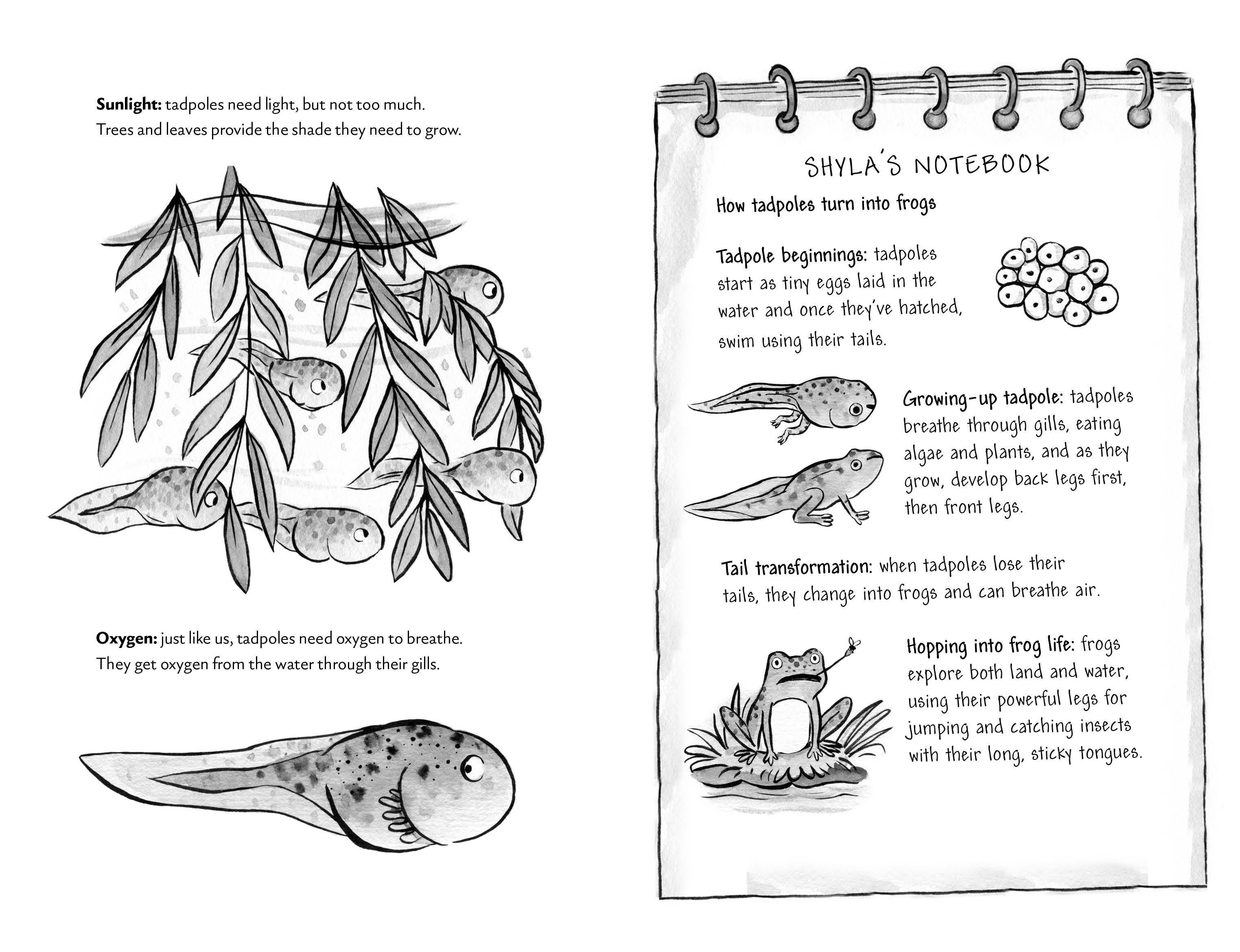 Page Spread