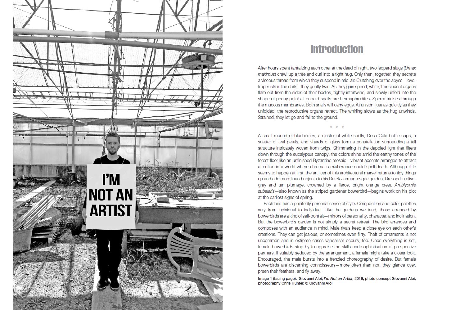 Page Spread