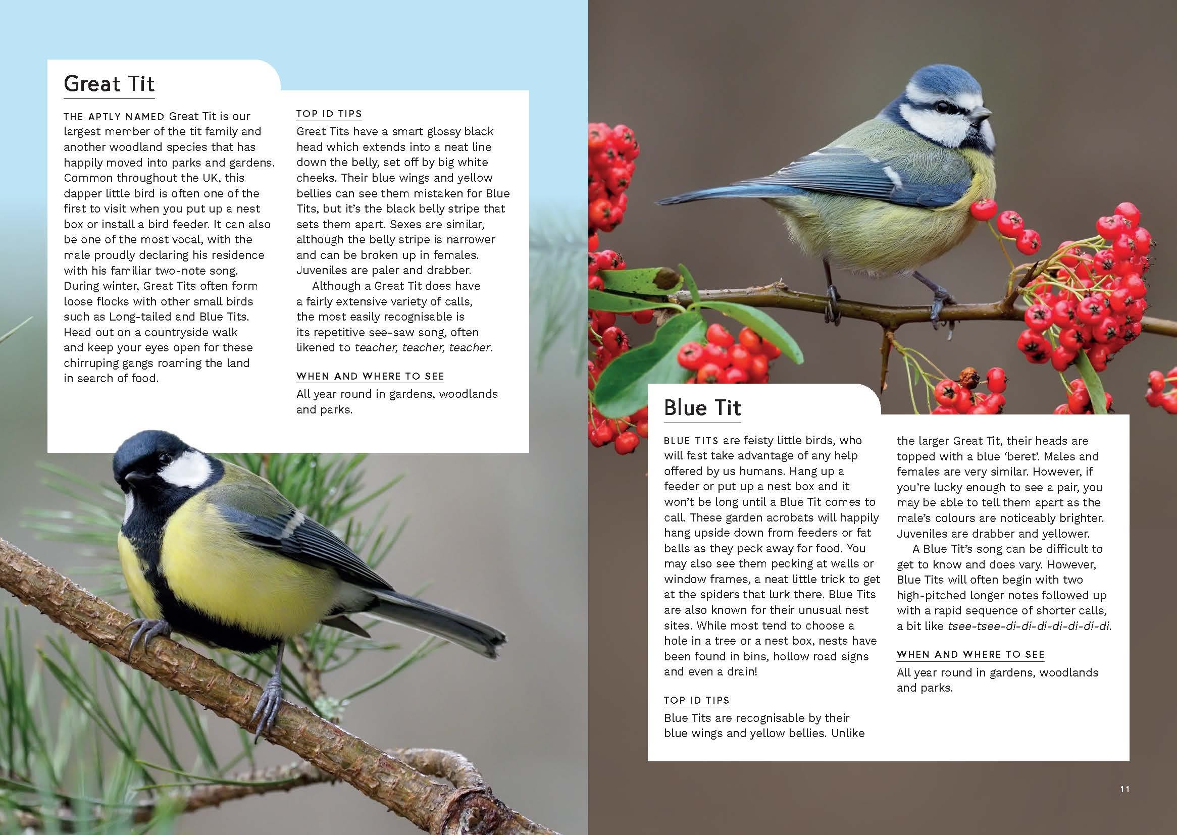 Page Spread
