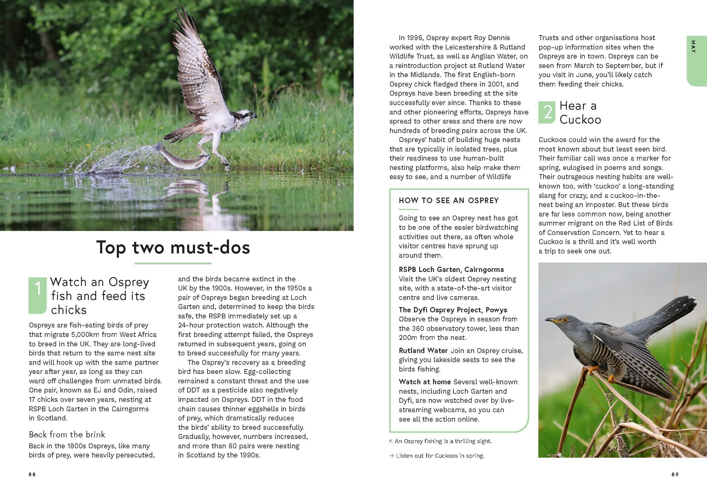 Page Spread