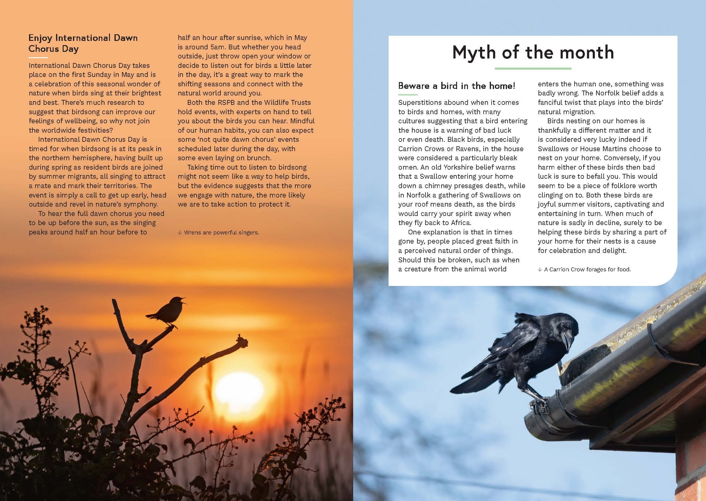 Page Spread