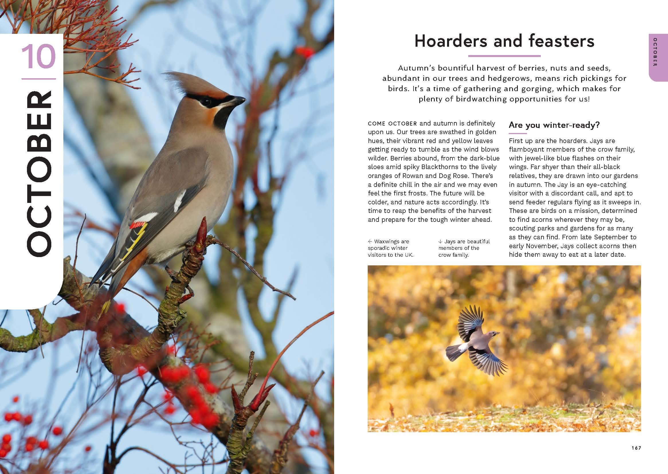 Page Spread