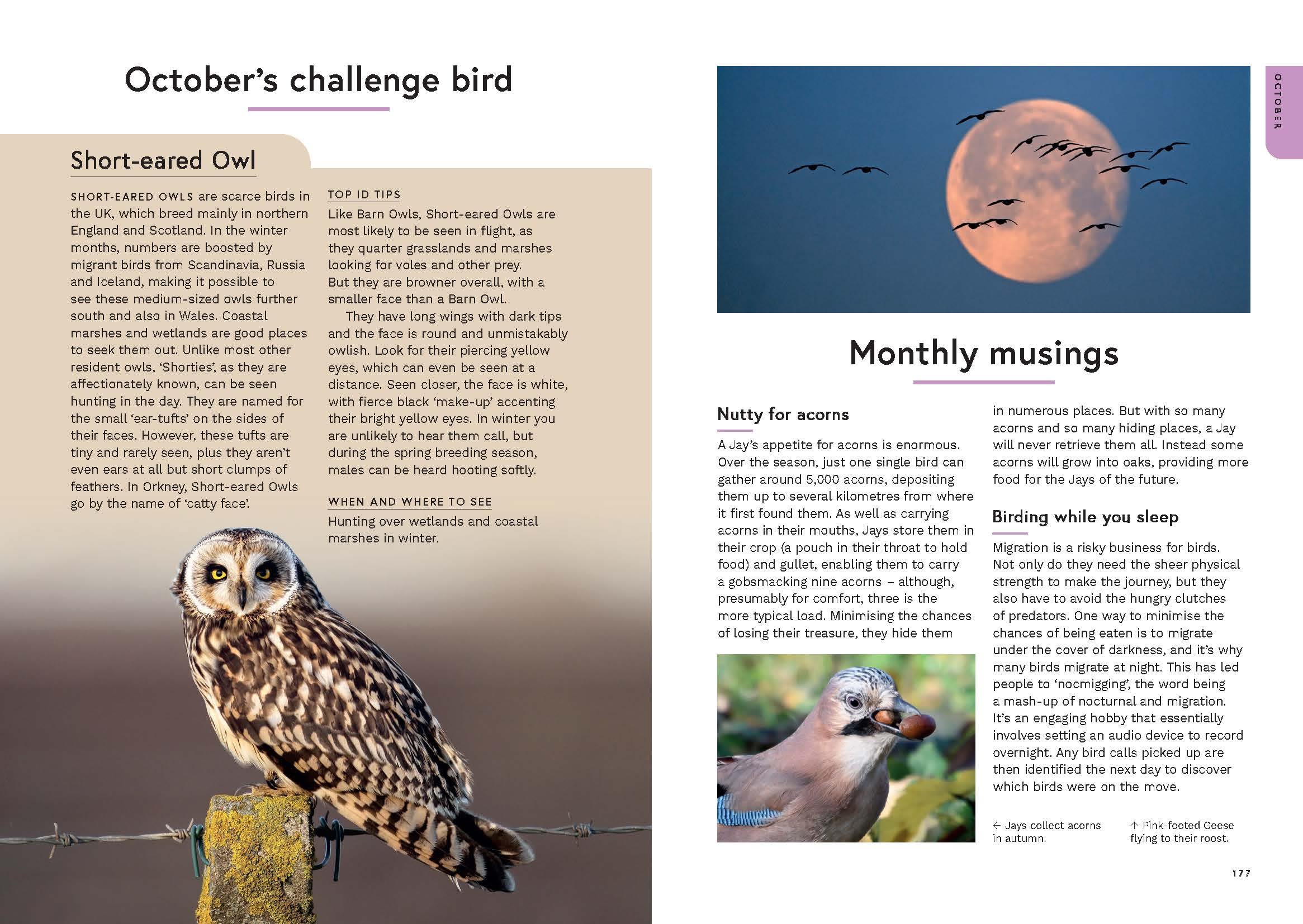 Page Spread